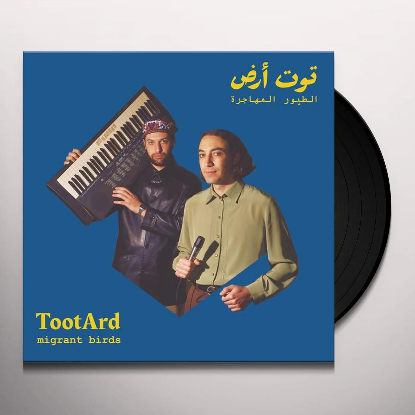 TootArd Migrant Birds Vinyl Record