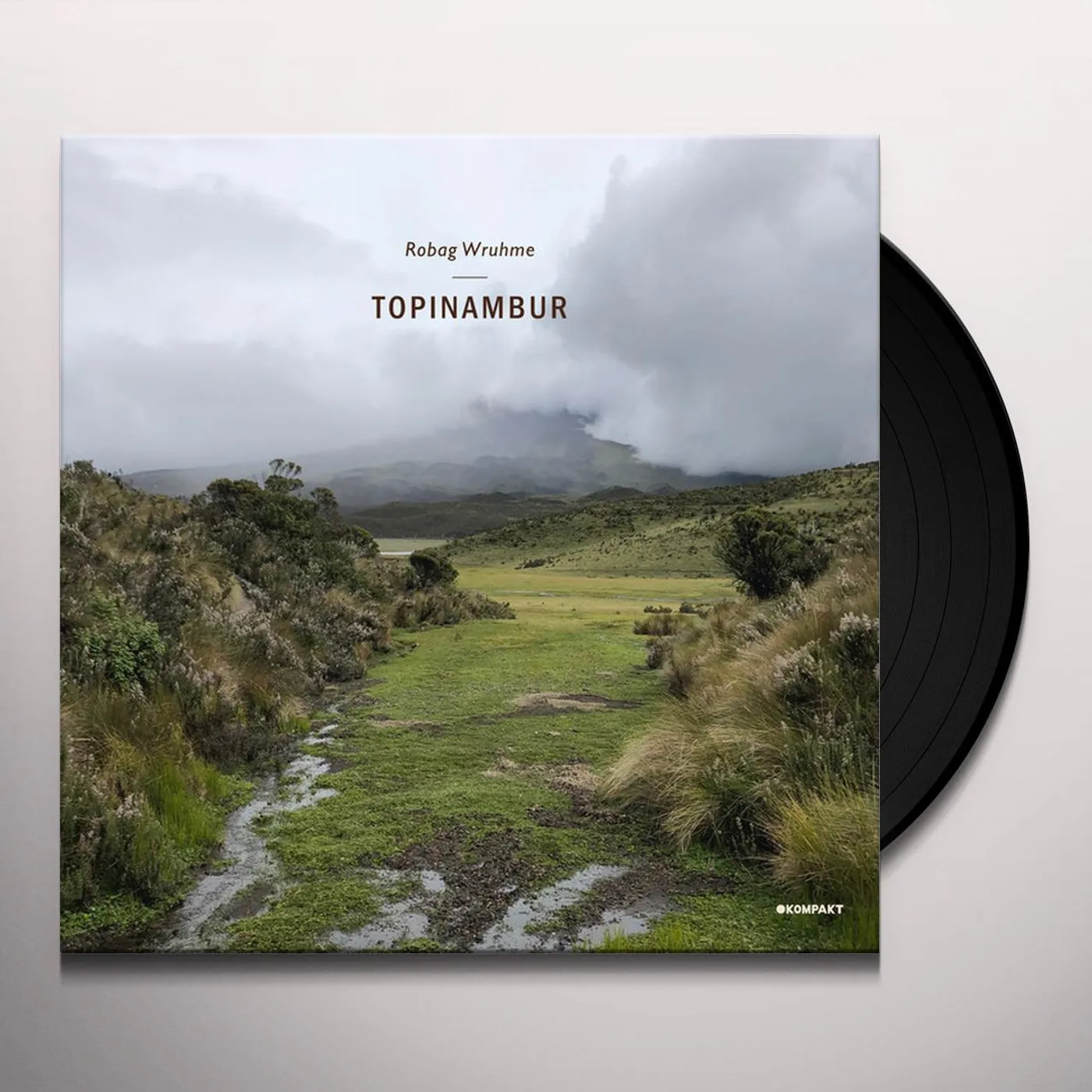 Robag Wruhme TOPINAMBUR Vinyl Record