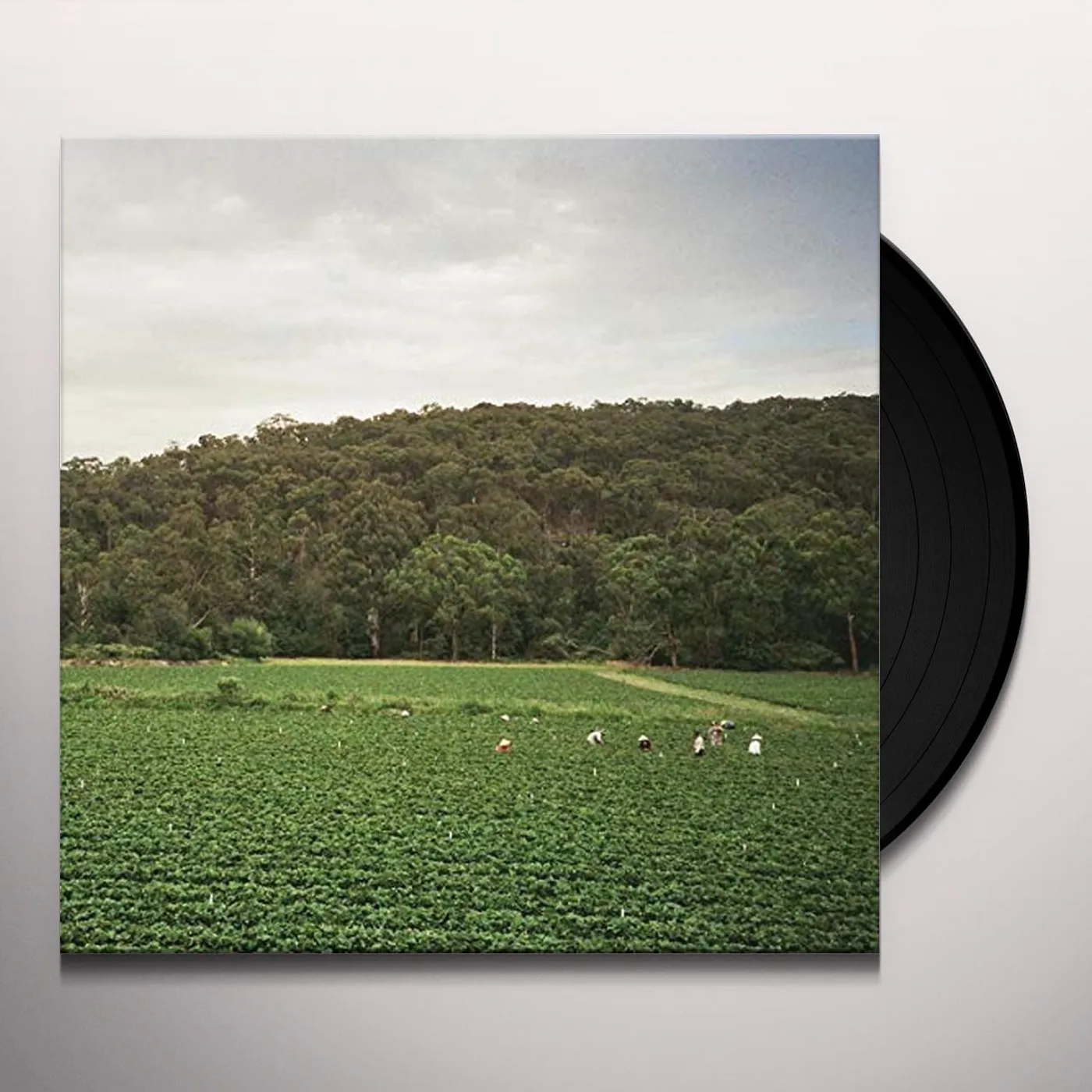 Albrecht La'Brooy Healesville Vinyl Record