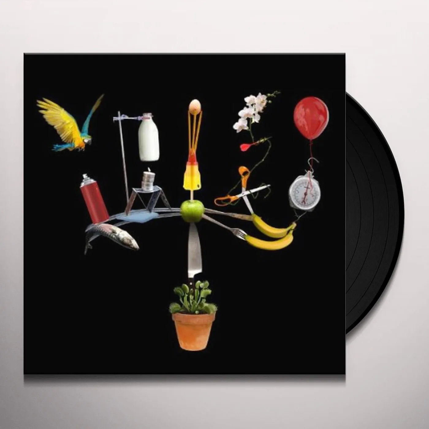 Fiction BIG OTHER Vinyl Record