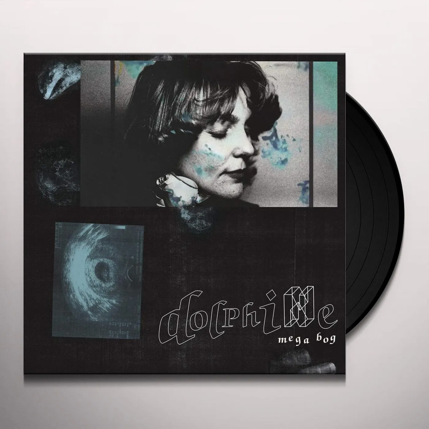 Mega Bog Dolphine Vinyl Record