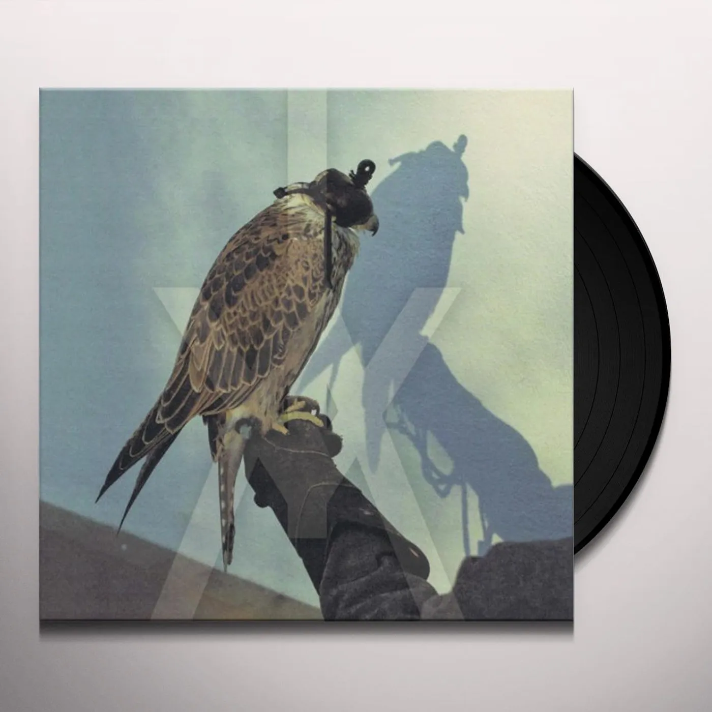Iceage You're Nothing Vinyl Record