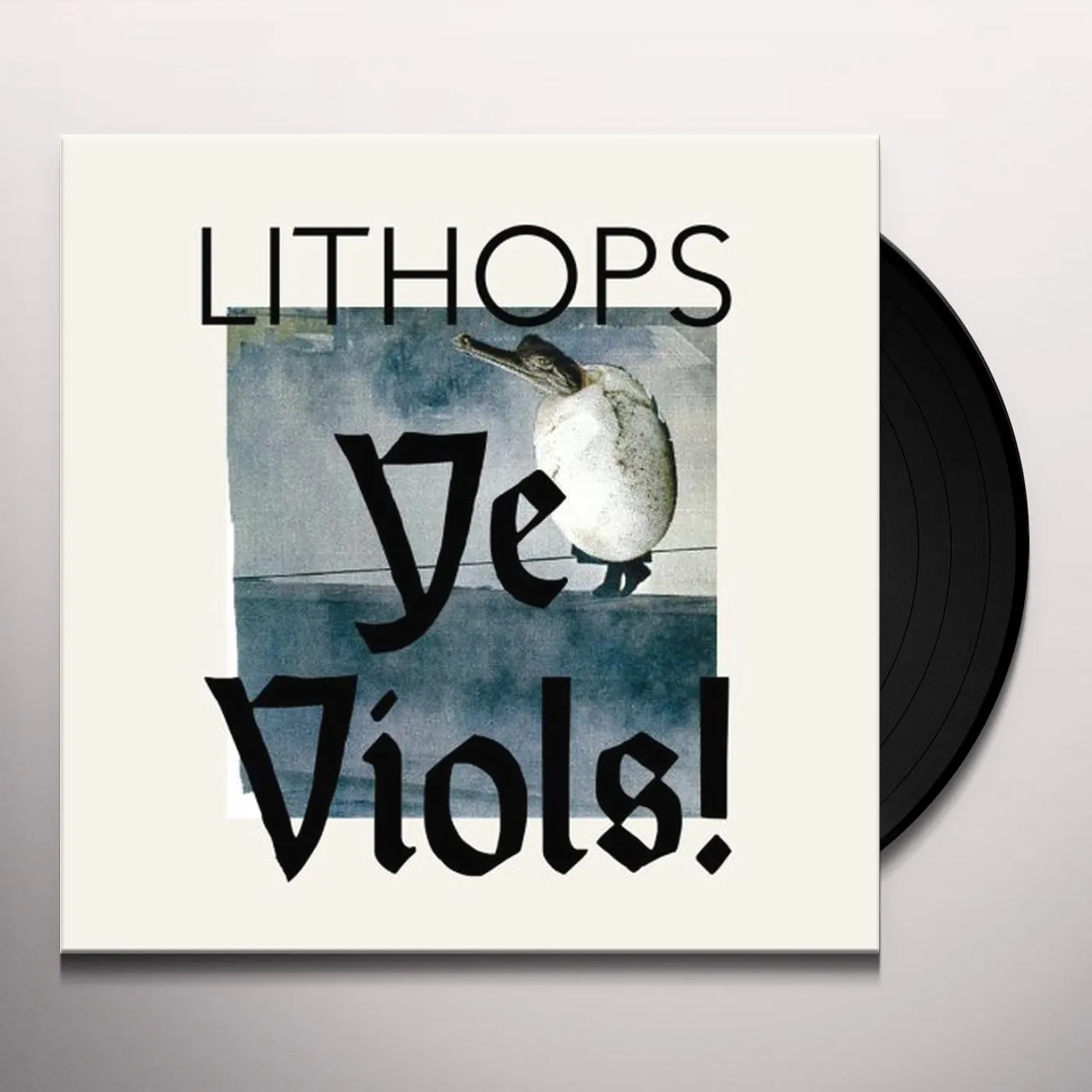 Lithops YE VIOLS Vinyl Record