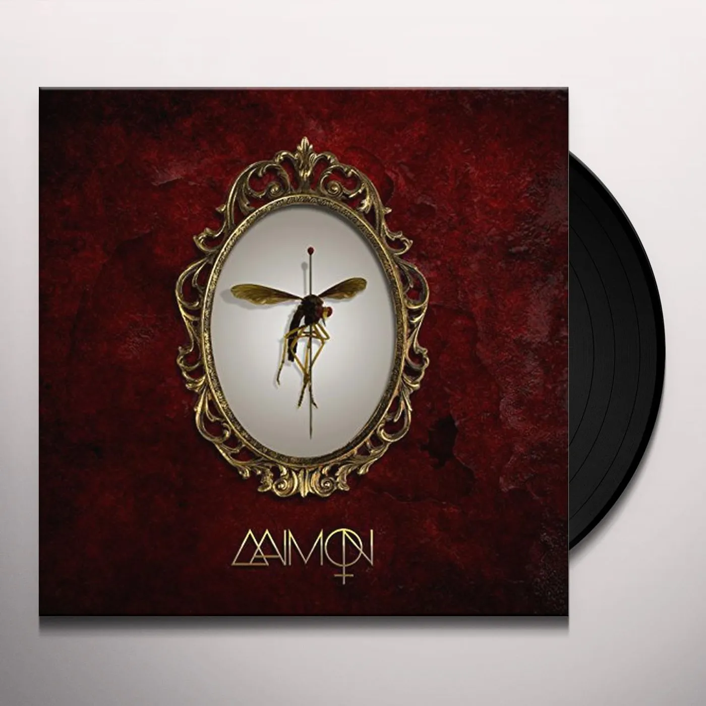 AAIMON Vinyl Record