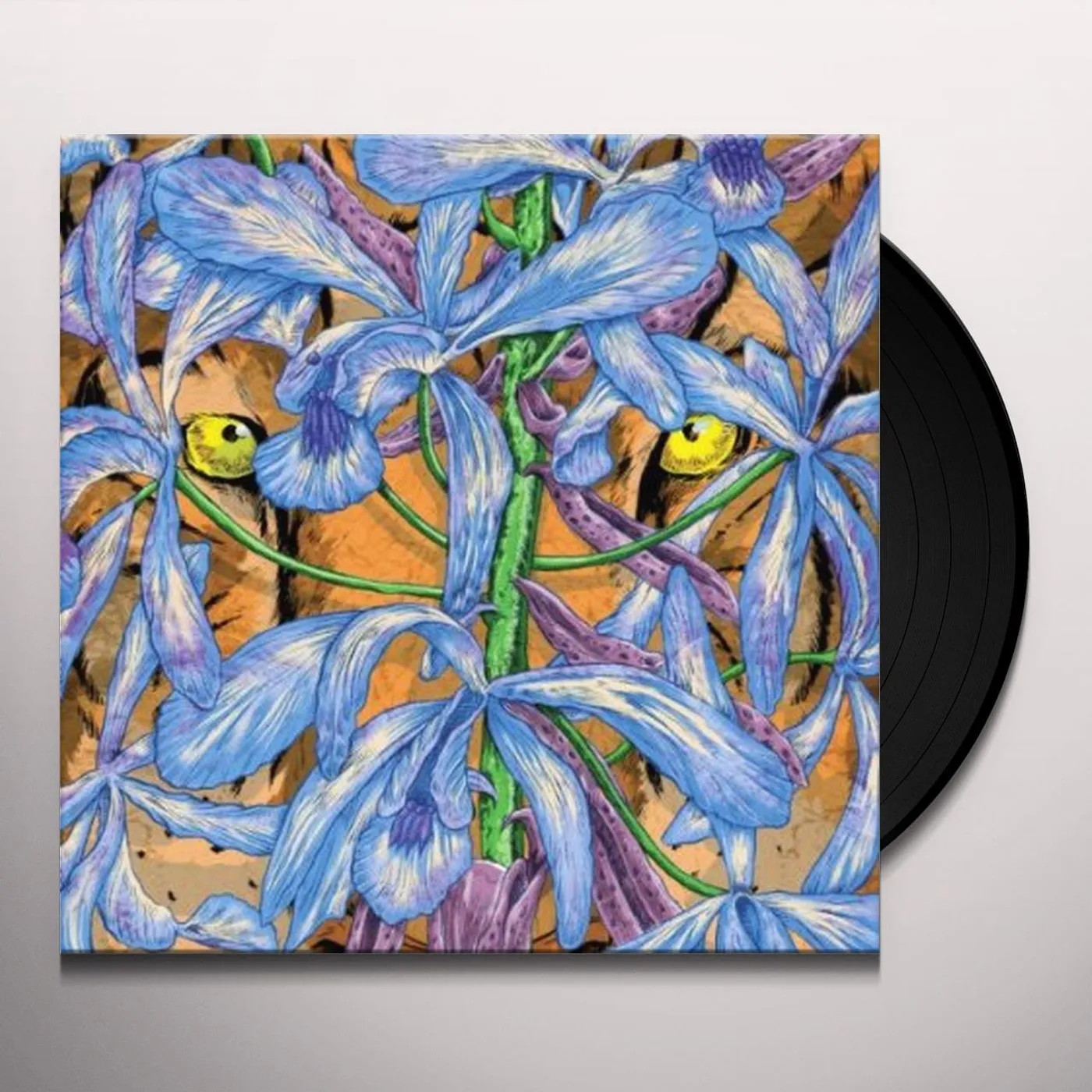 Second Storey Margosa Heights Vinyl Record