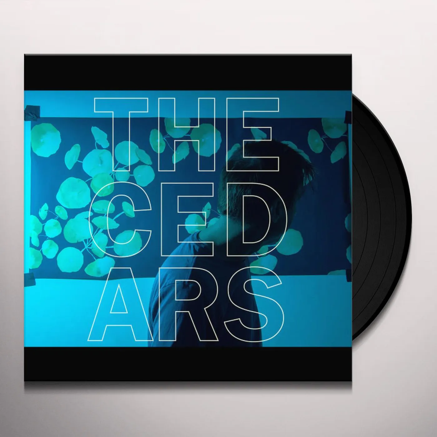 John Vanderslice CEDARS Vinyl Record