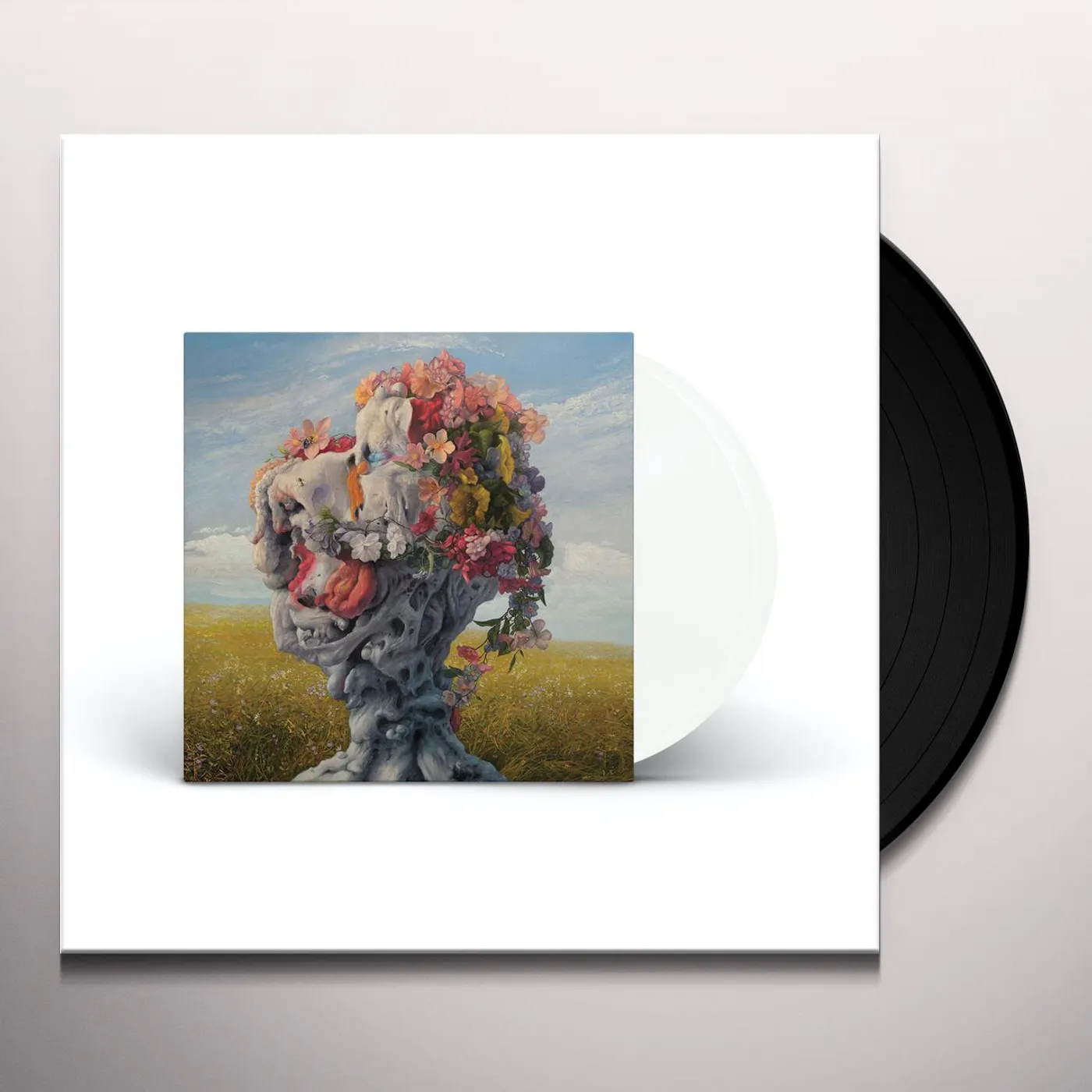 Wilderun Veil Of Imagination Vinyl Record