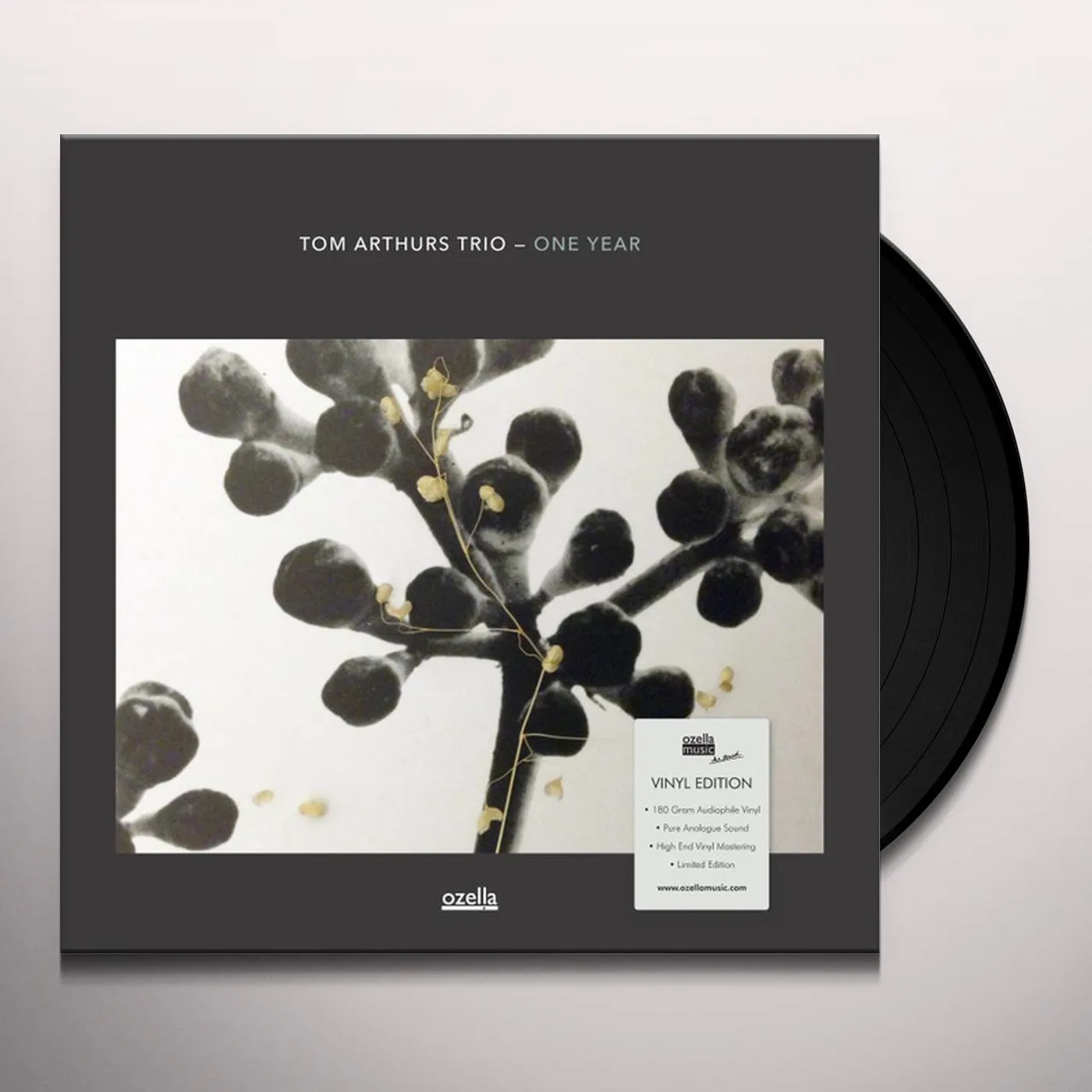 Tom Arthurs Trio ONE YEAR Vinyl Record