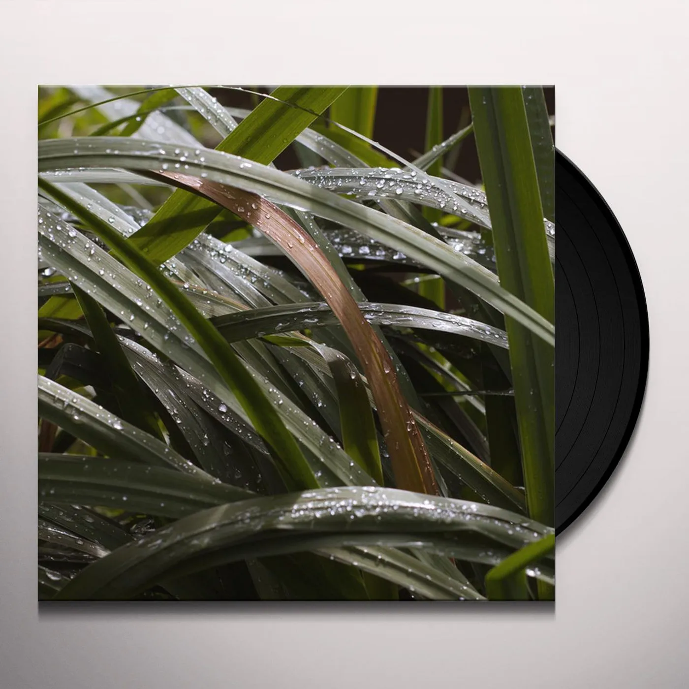 洋楽 Detroit Swindle - Boxed Out Boxed Out | Dam Swindle