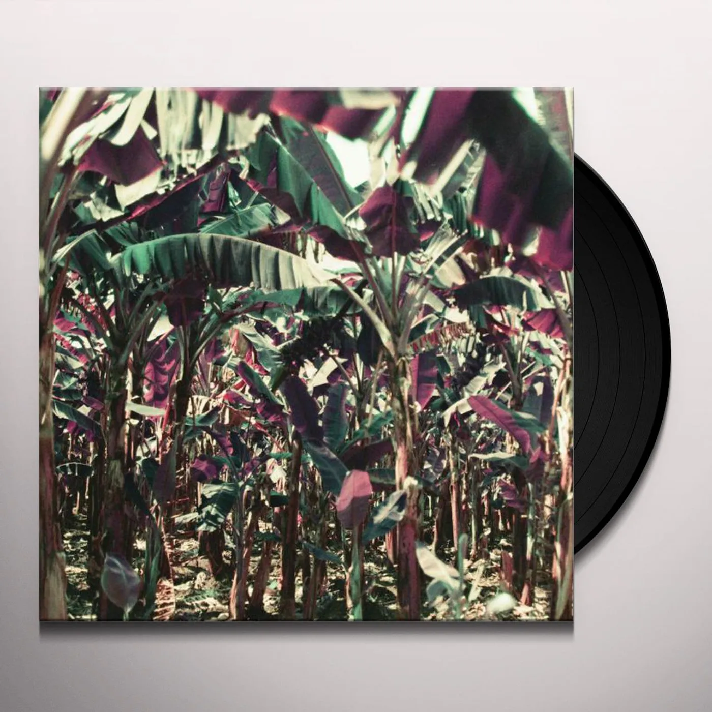 Dampe PEACH SHUFFLE Vinyl Record