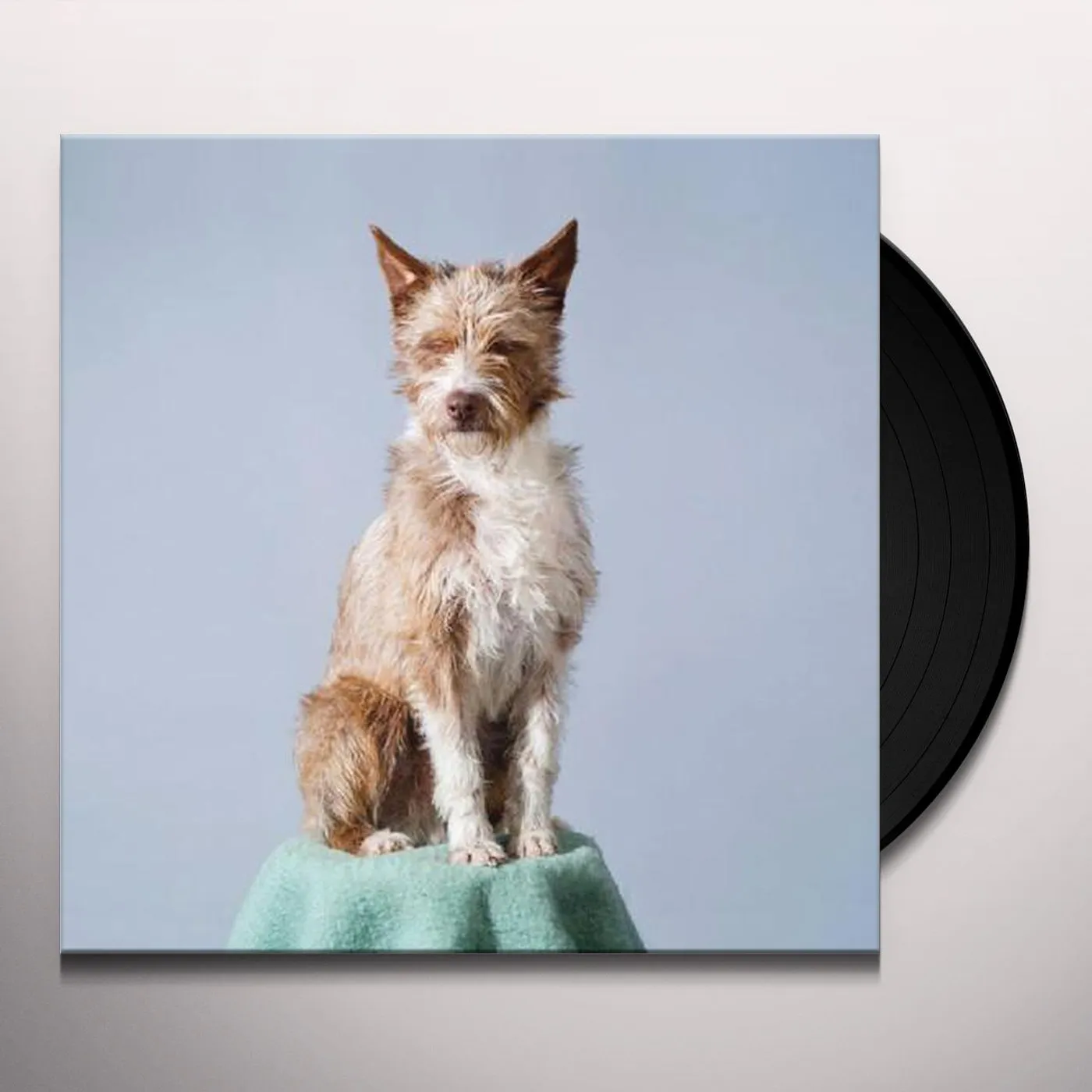 Makez DIFFERENT PLANETS Vinyl Record