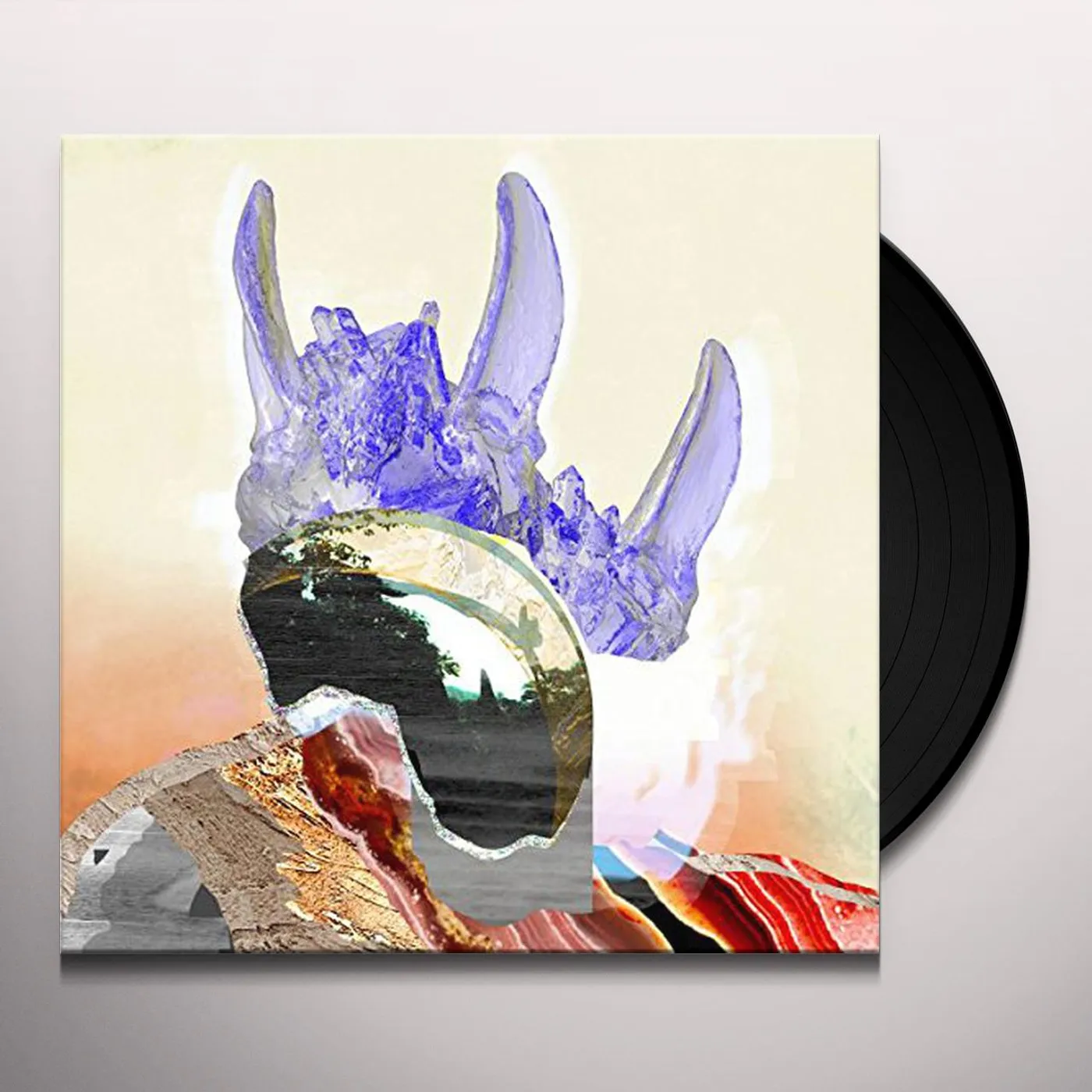 Jadu Heart WANDERFLOWER / EZRA'S GARDEN Vinyl Record
