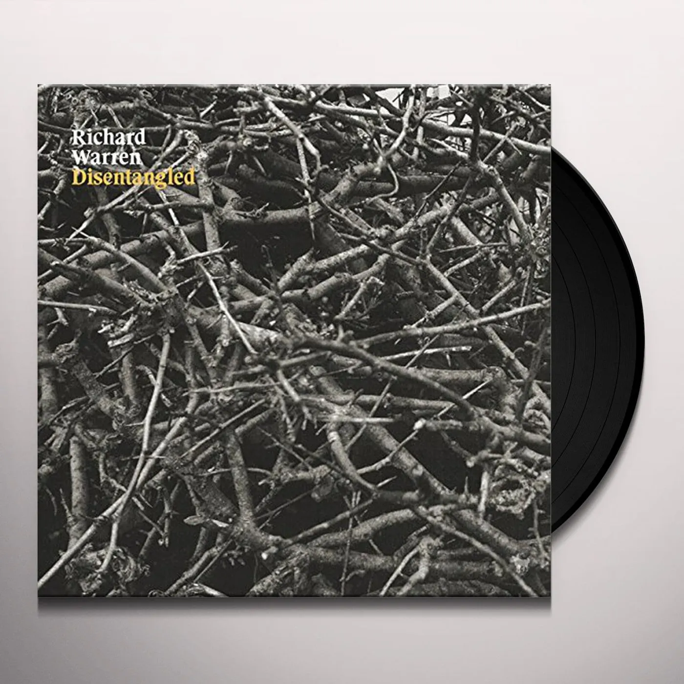 Richard Warren Disentangled Vinyl Record