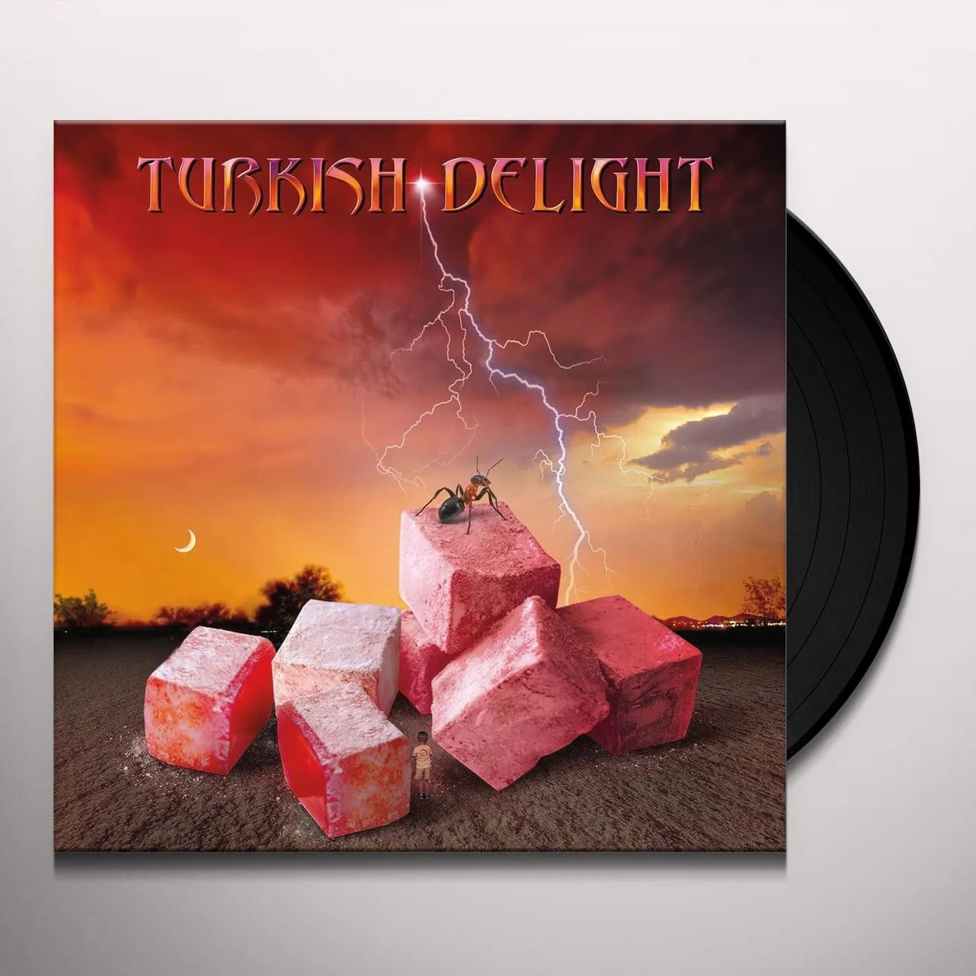 TURKISH DELIGHT VOLUME ONE Vinyl Record