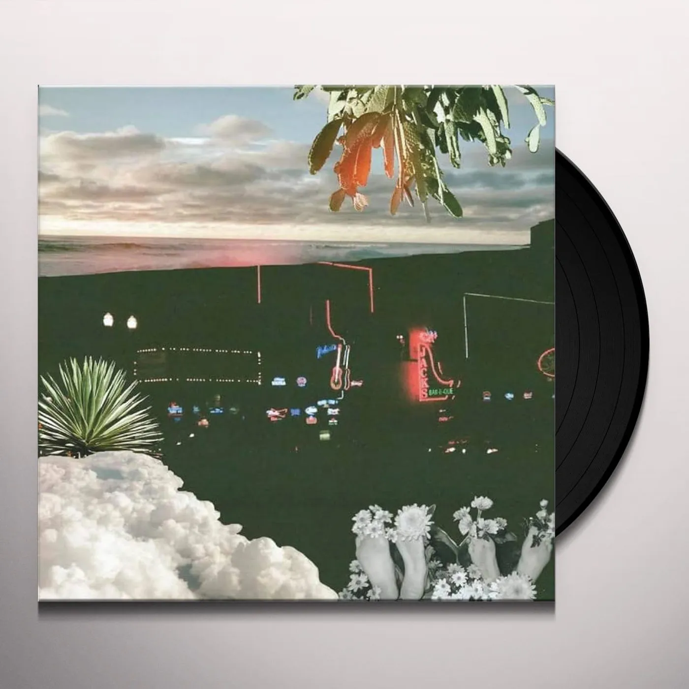 HOT SECOND WITH THE VELVETEINS Vinyl Record