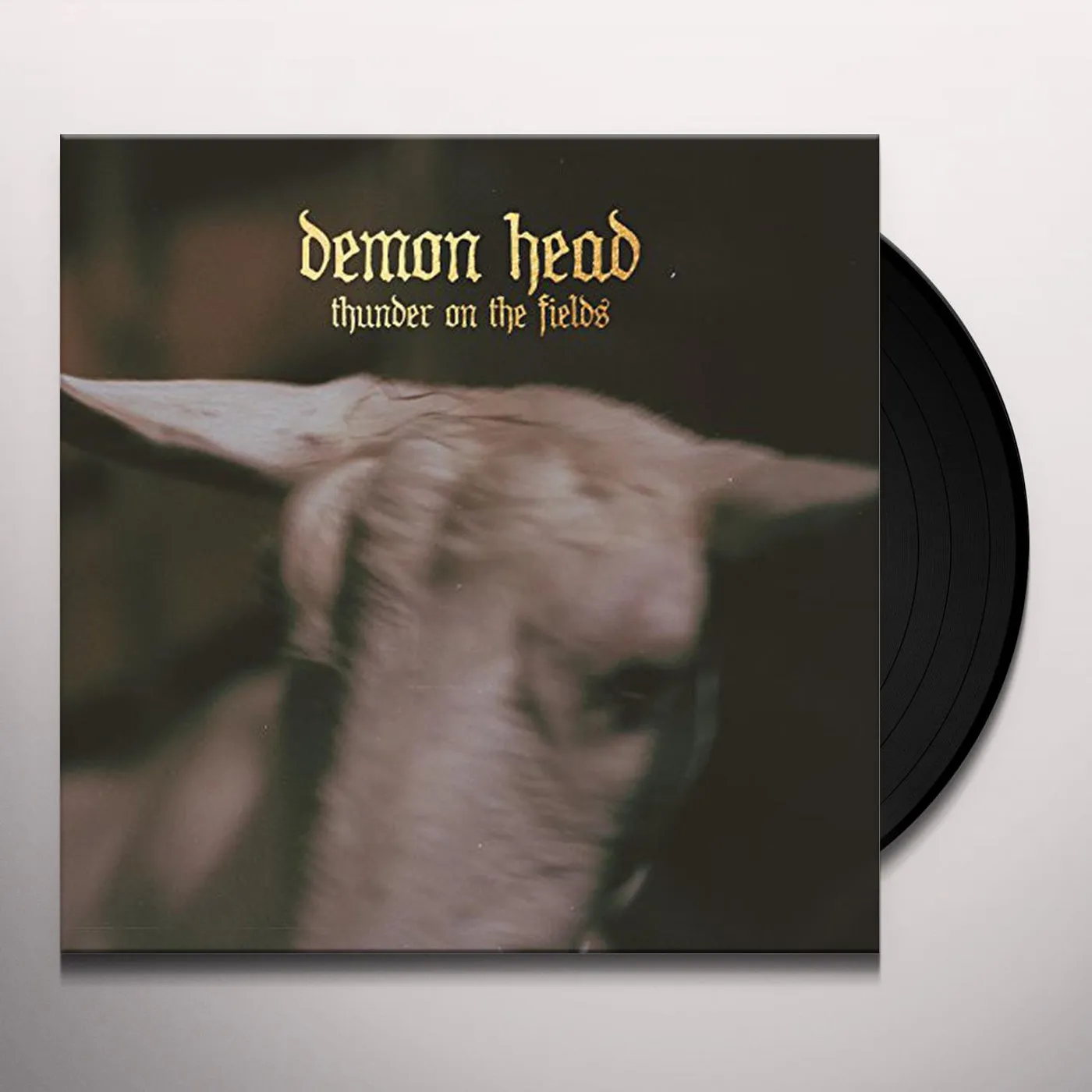 Demon Head Thunder On the Fields Vinyl Record