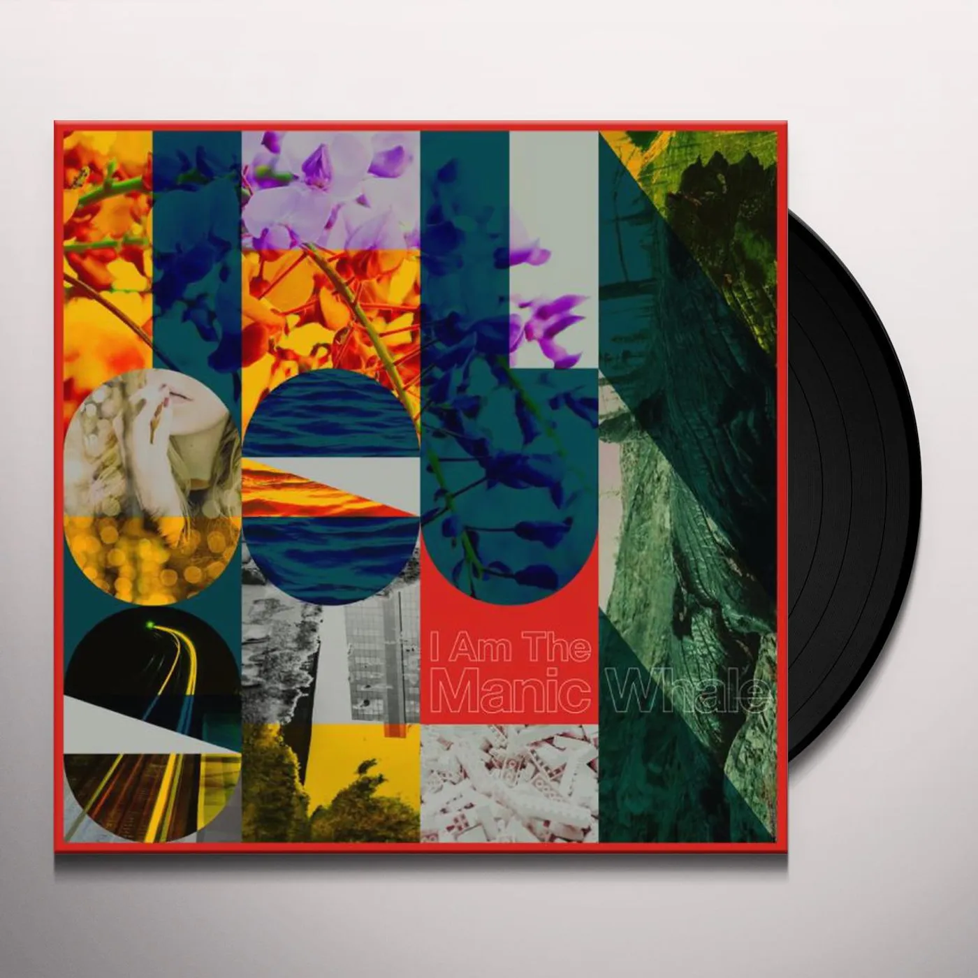 I Am the Manic Whale THINGS UNSEEN Vinyl Record