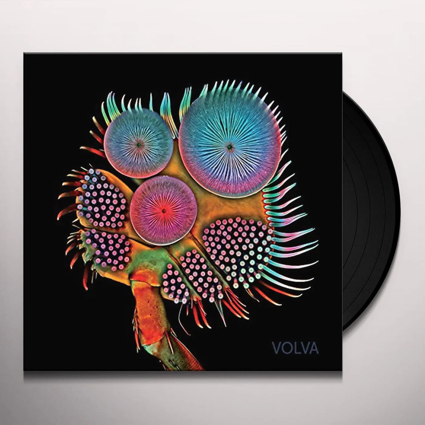 Echolot VOLVA Vinyl Record