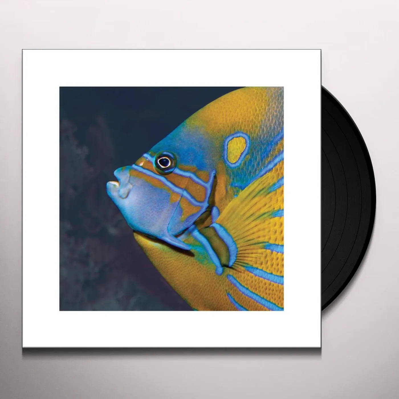 Ryan Power Identity Picks Vinyl Record