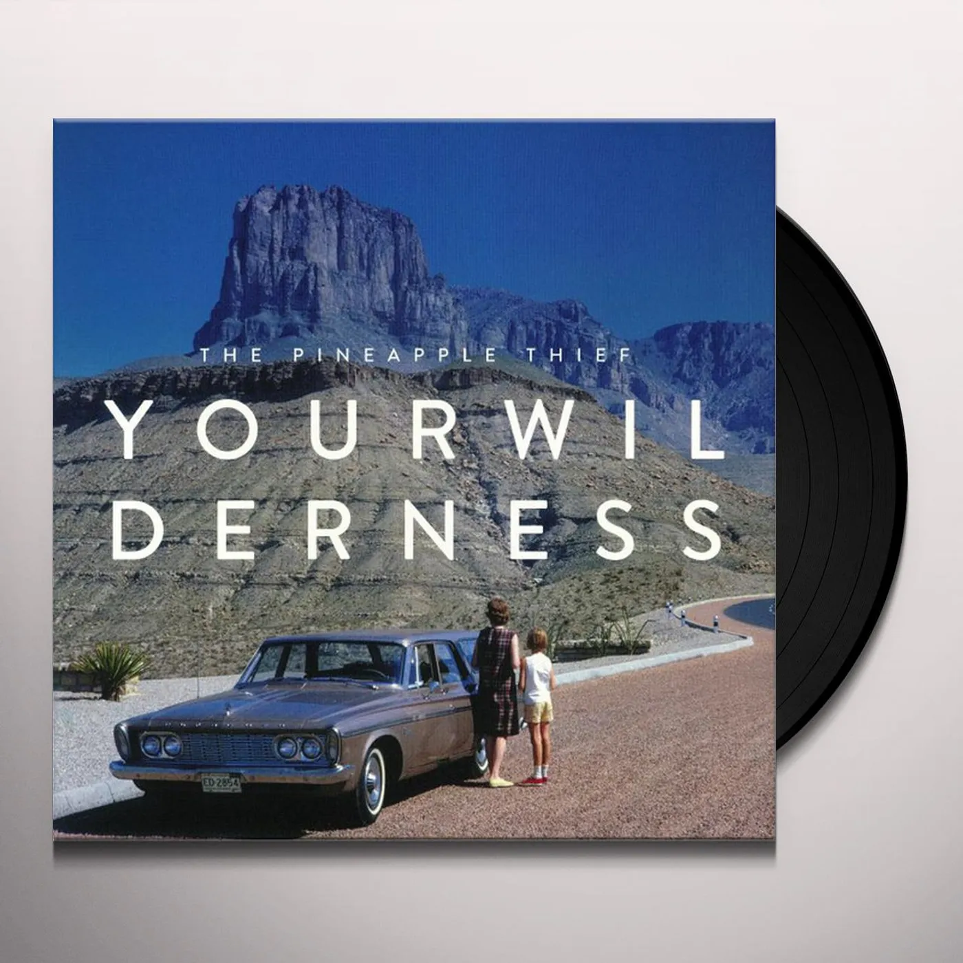 The Pineapple Thief Your Wilderness Vinyl Record