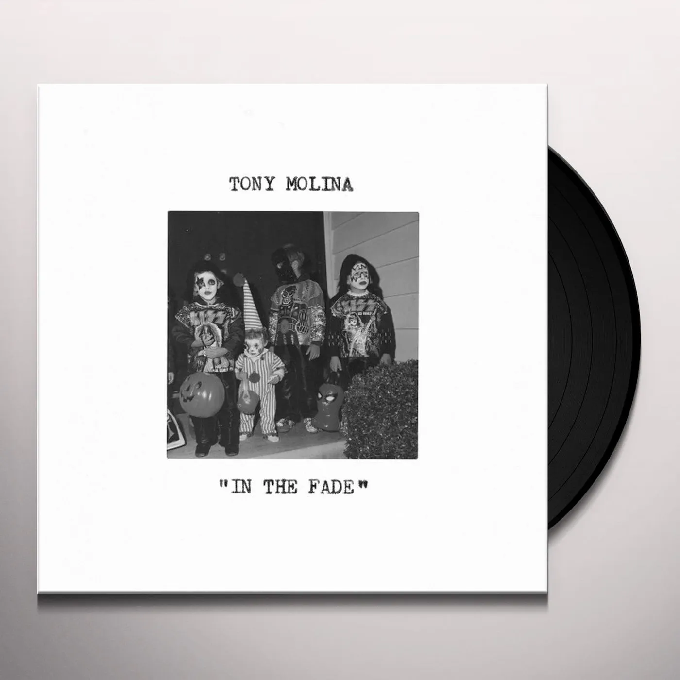Tony Molina In the Fade Vinyl Record