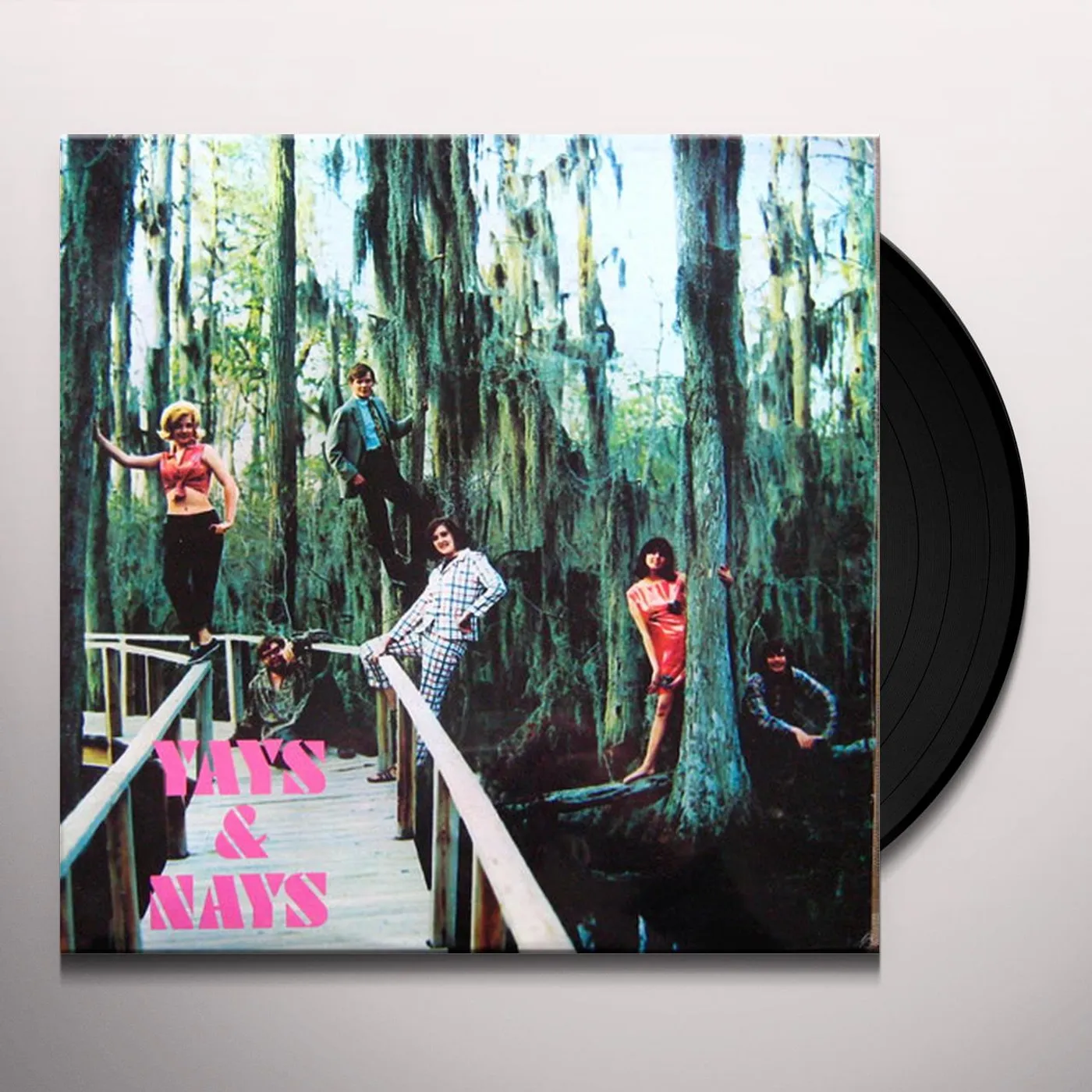 The Yays & Nays Vinyl Record
