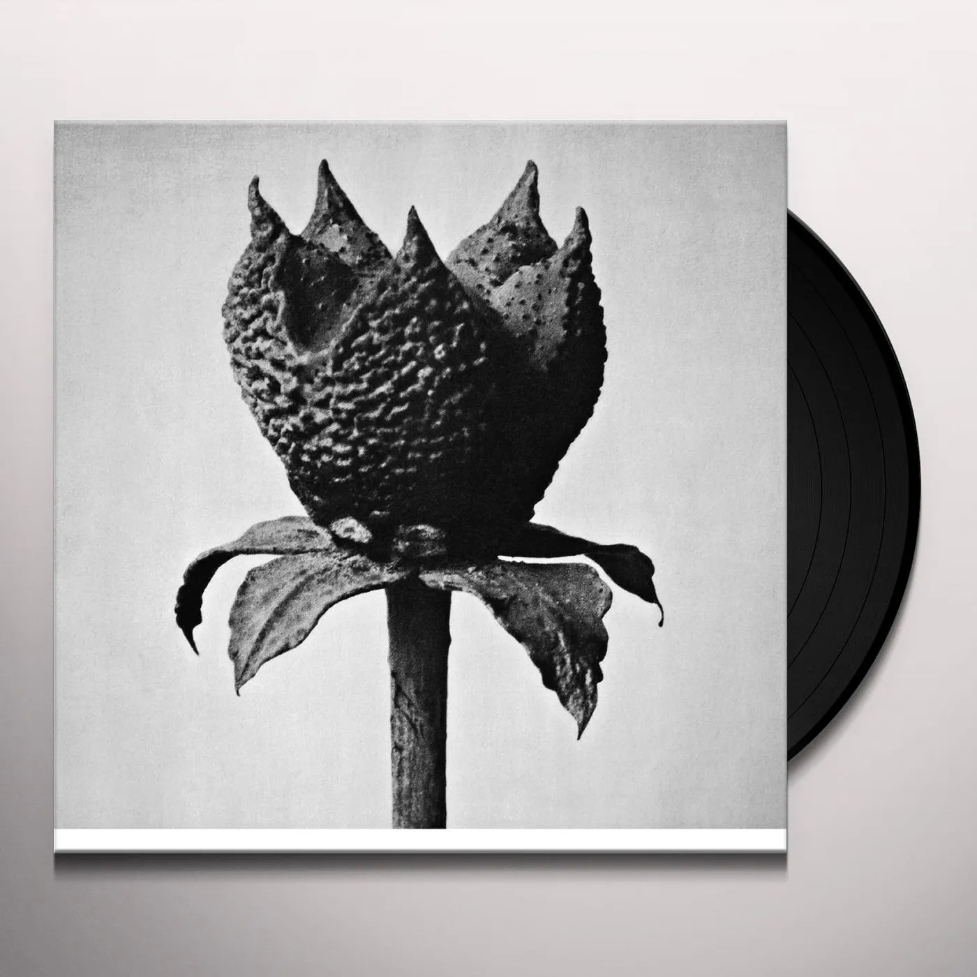 Masayoshi Fujita Book of Life Vinyl Record