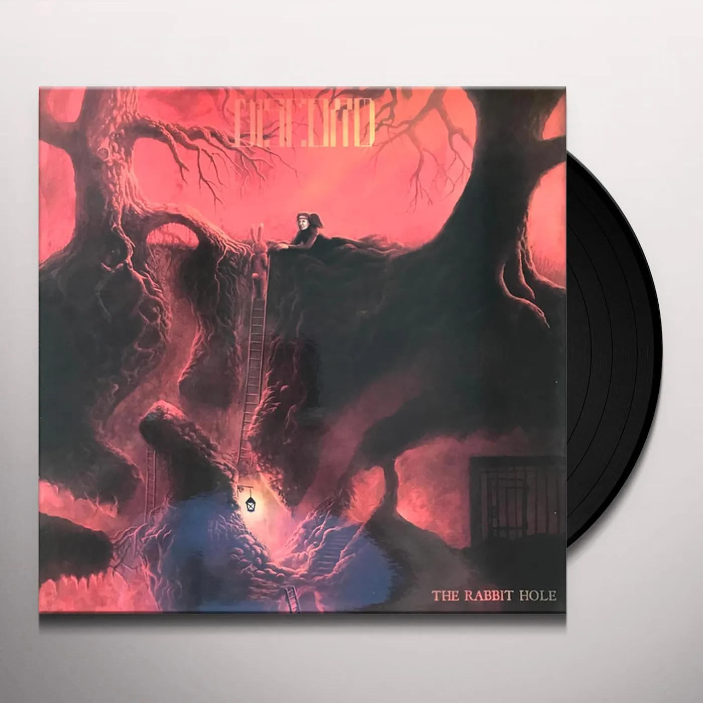 The Great Discord Great Discord   The Rabbit Hole Vinyl Record