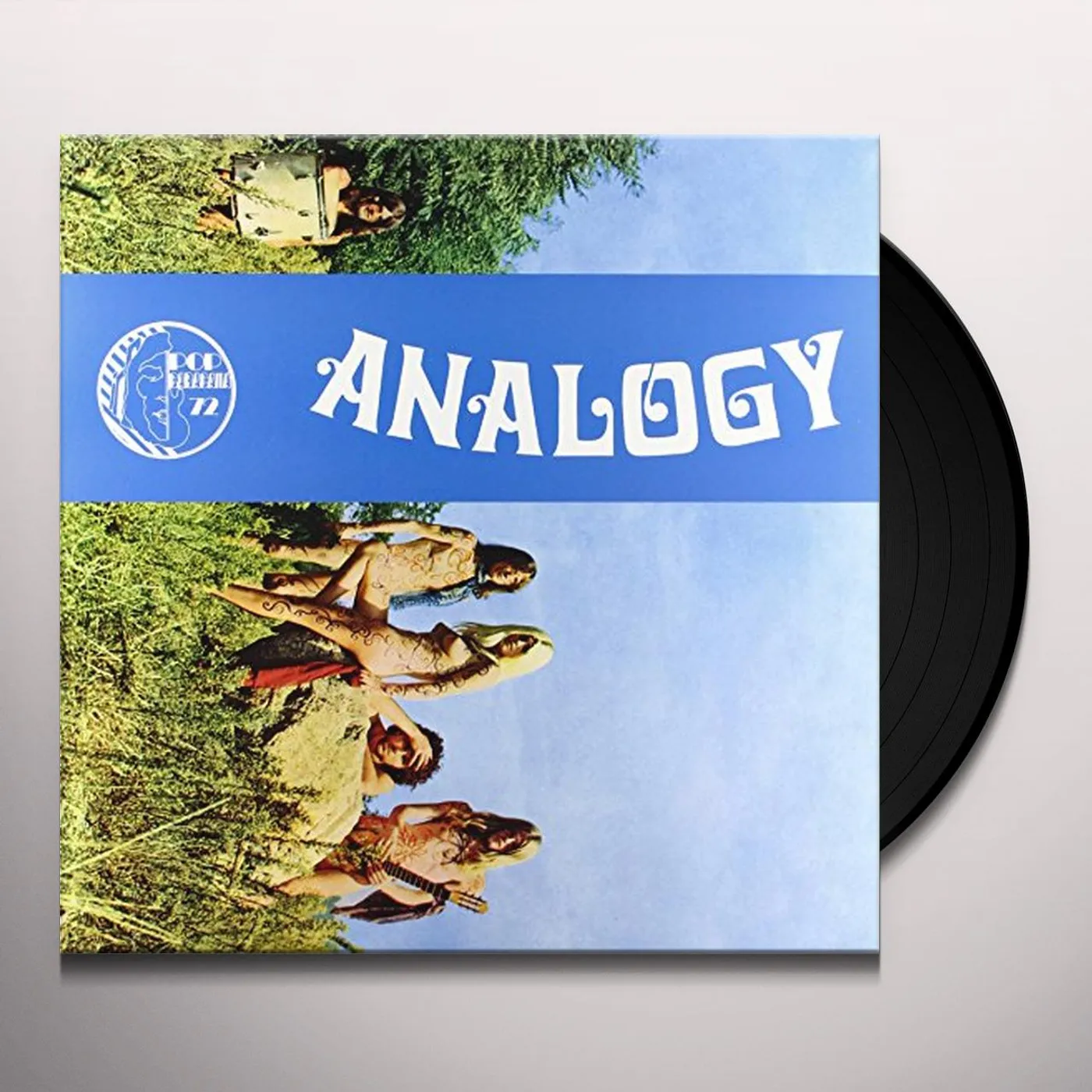Analogy Vinyl Record