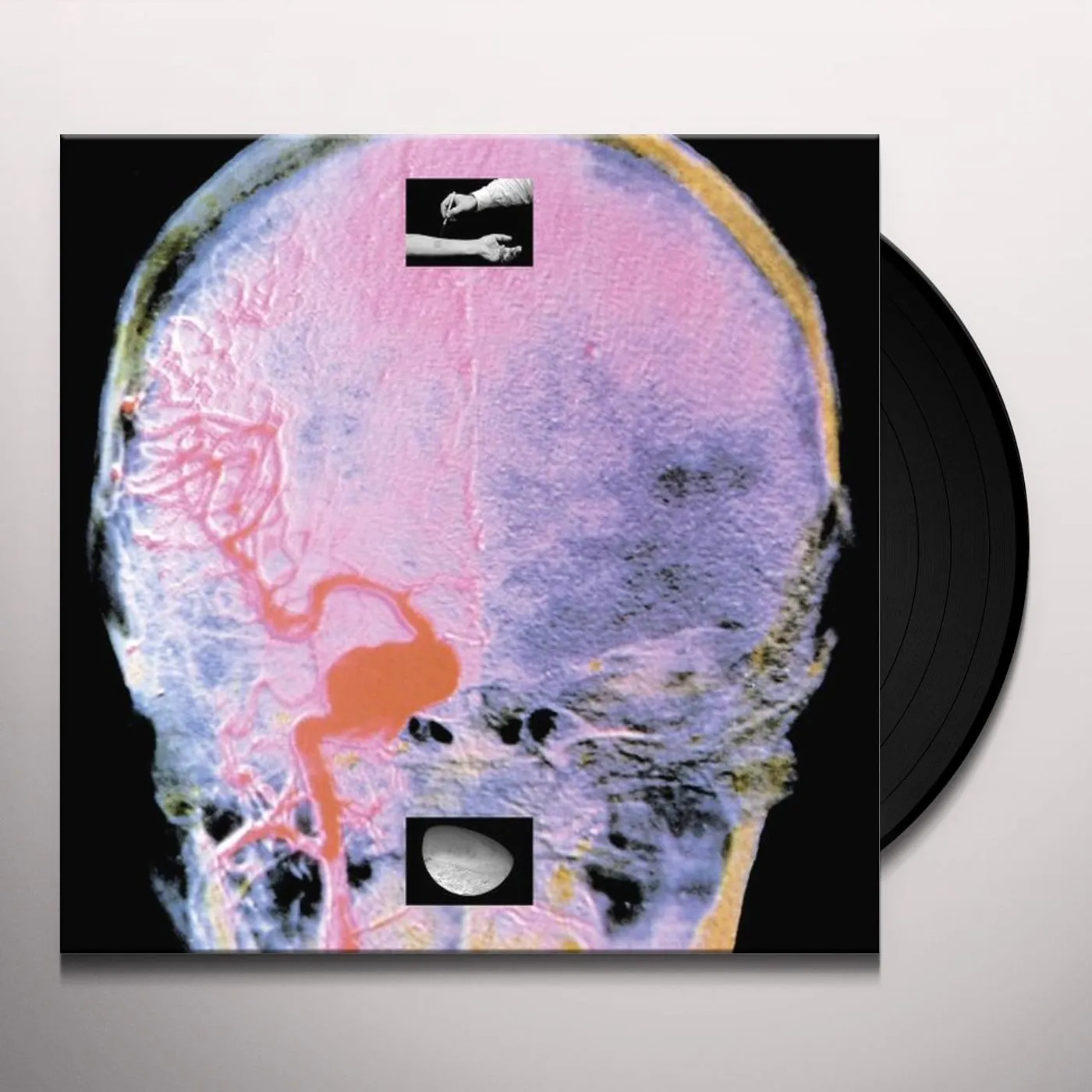 upsammy Branches On Ice Vinyl Record