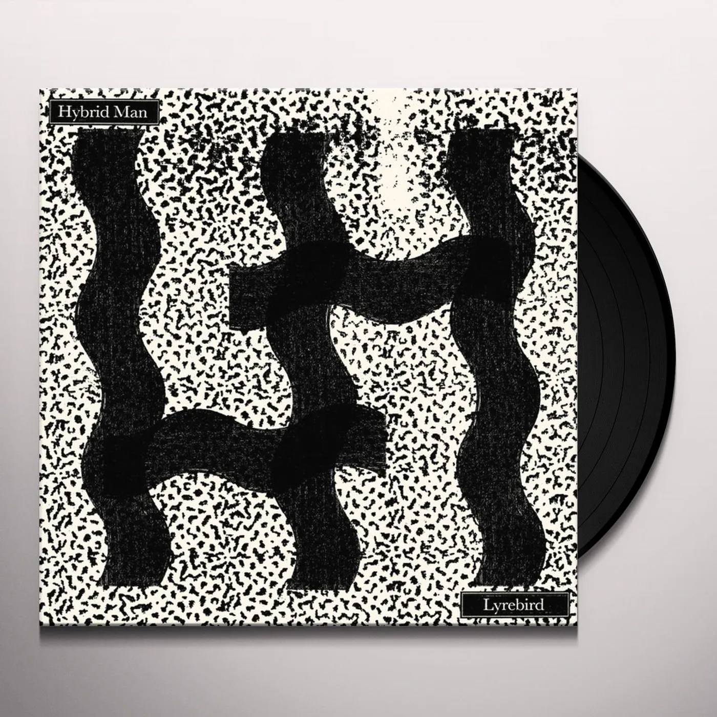 Hybrid Man Lyrebird Vinyl Record