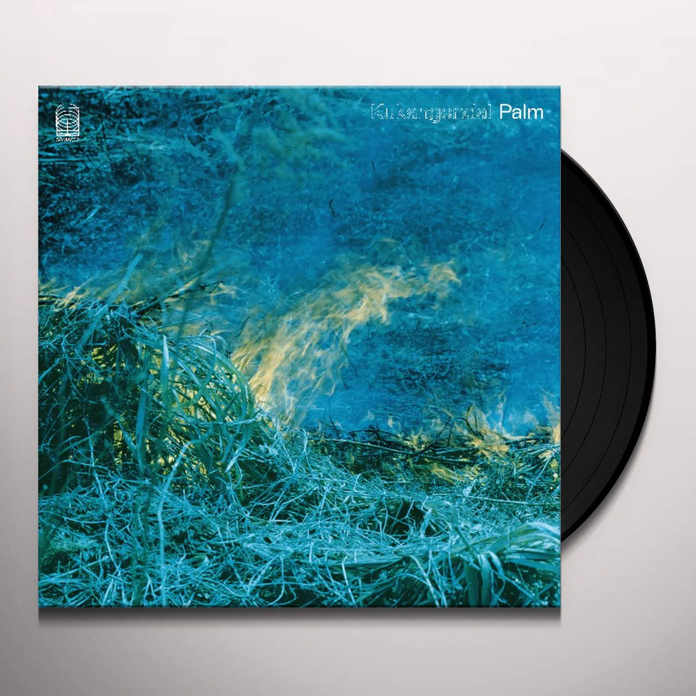 Kukangendai Palm Vinyl Record
