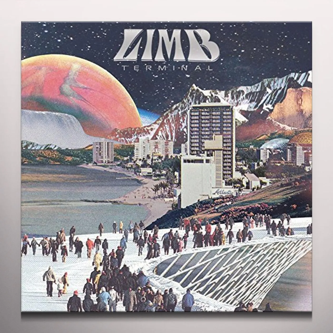 Limb Terminal Vinyl Record