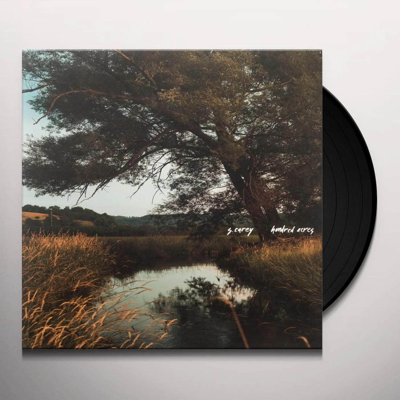 S. Carey Hundred Acres Vinyl Record