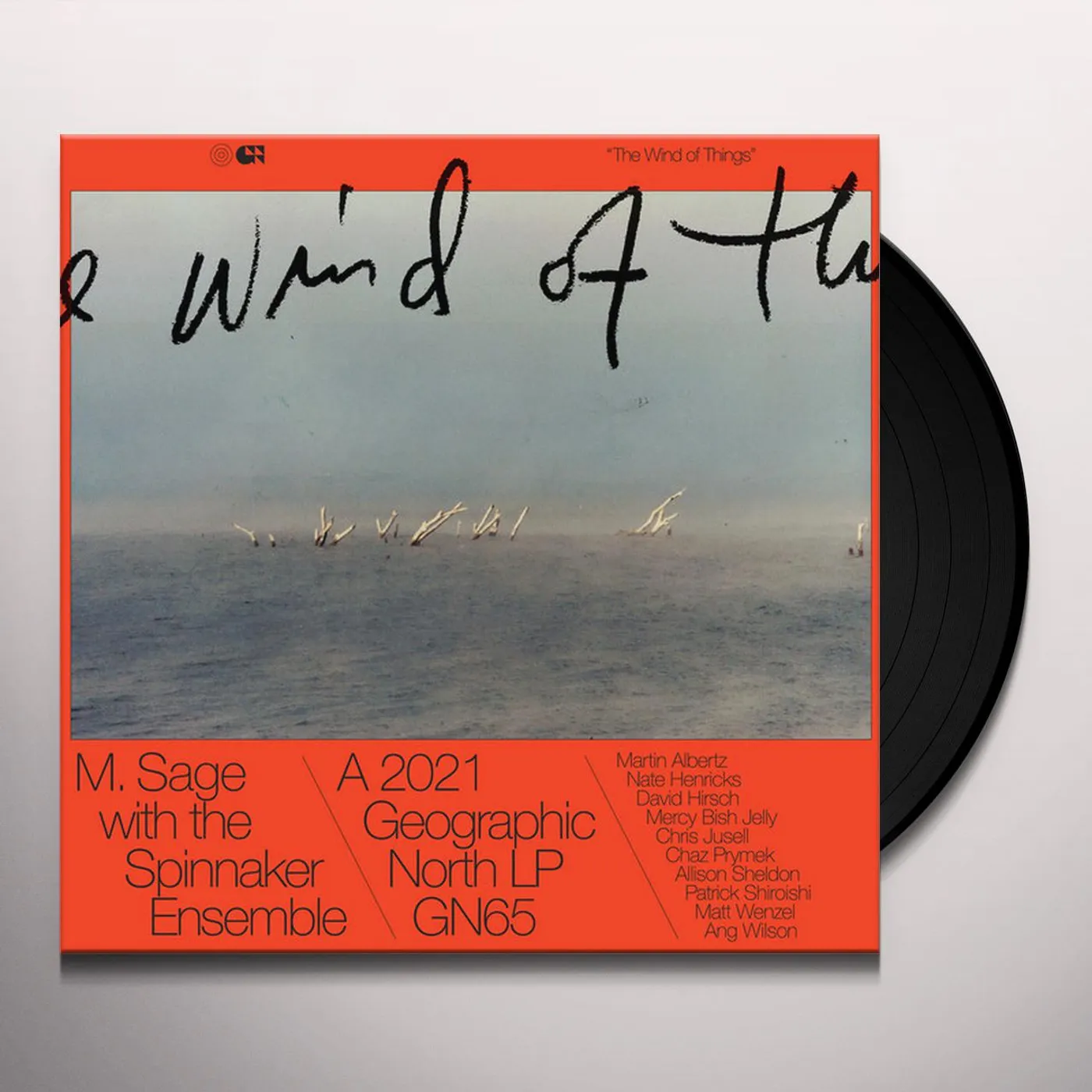 M. Sage WIND OF THINGS Vinyl Record