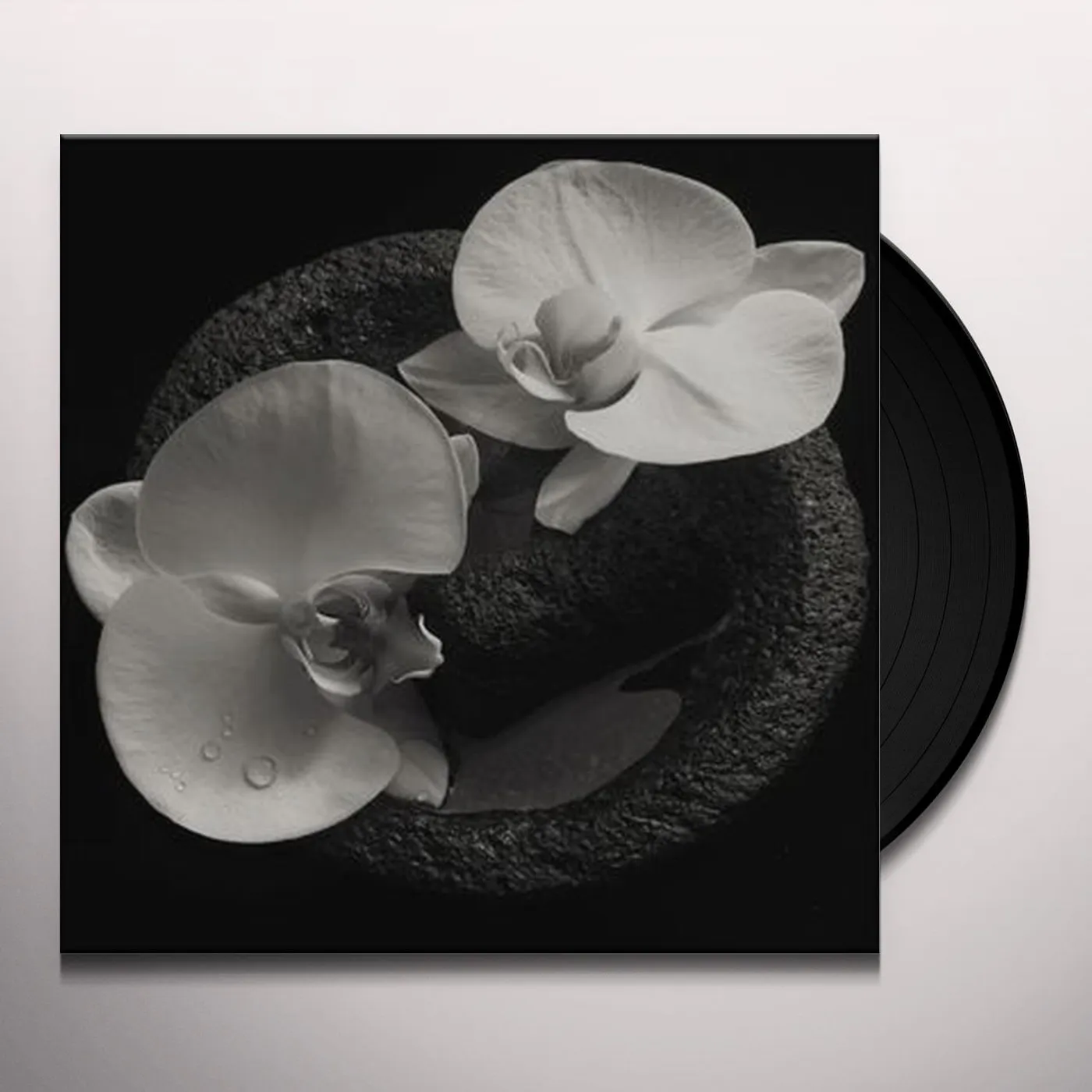 Mike Patton / Jean-Claude Vannier CORPSE FLOWER Vinyl Record