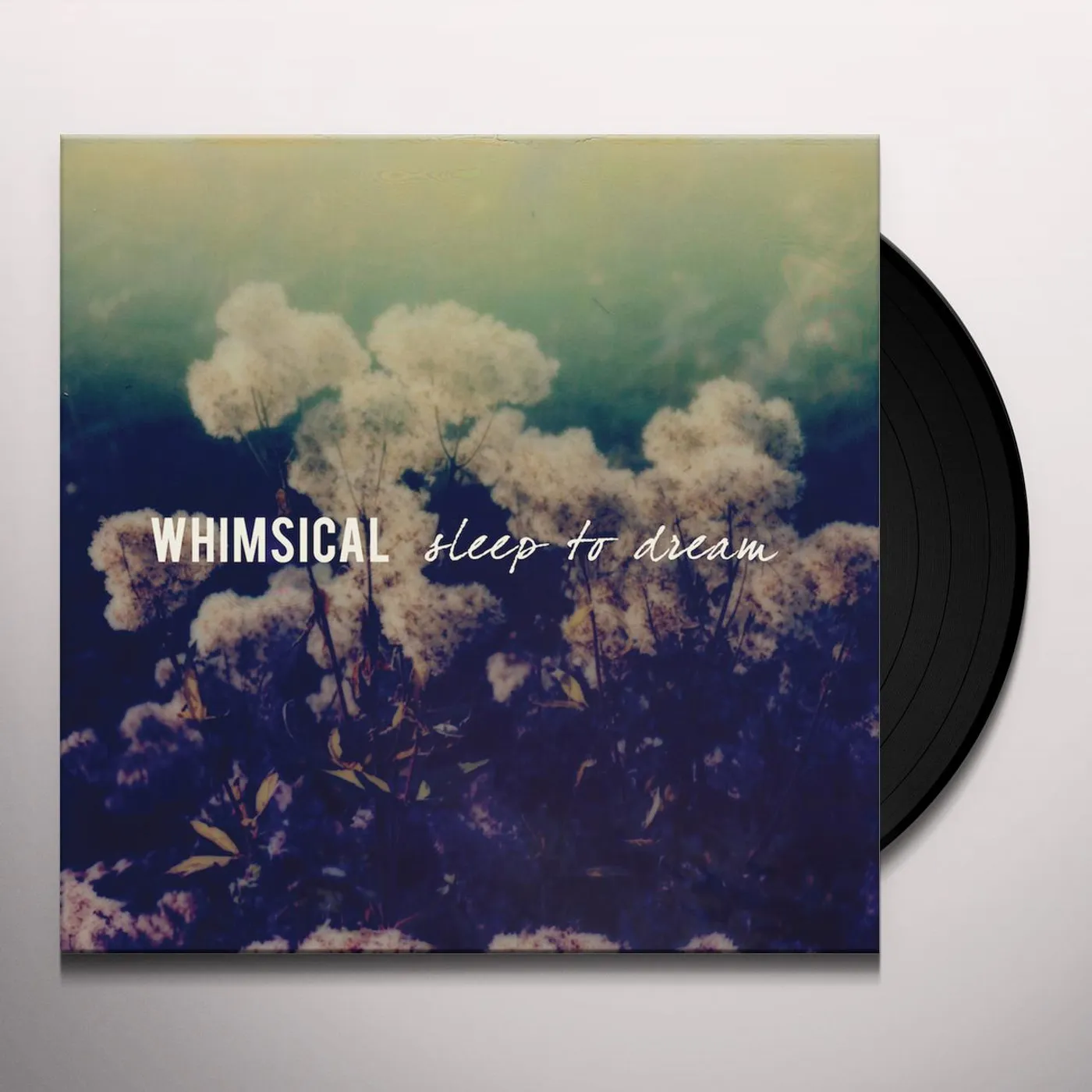 Whimsical Sleep To Dream Vinyl Record