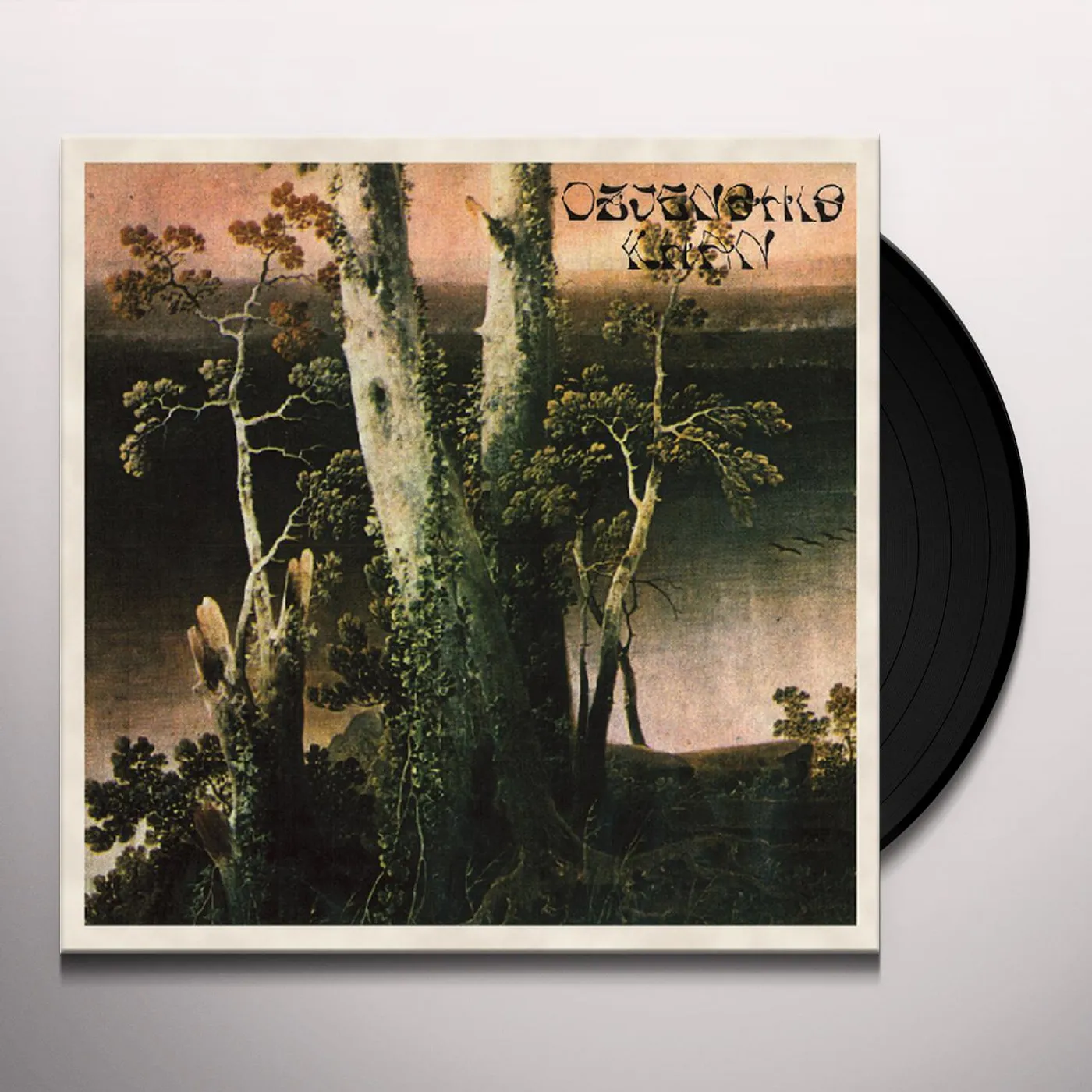 Dzjenghis Khan Vinyl Record