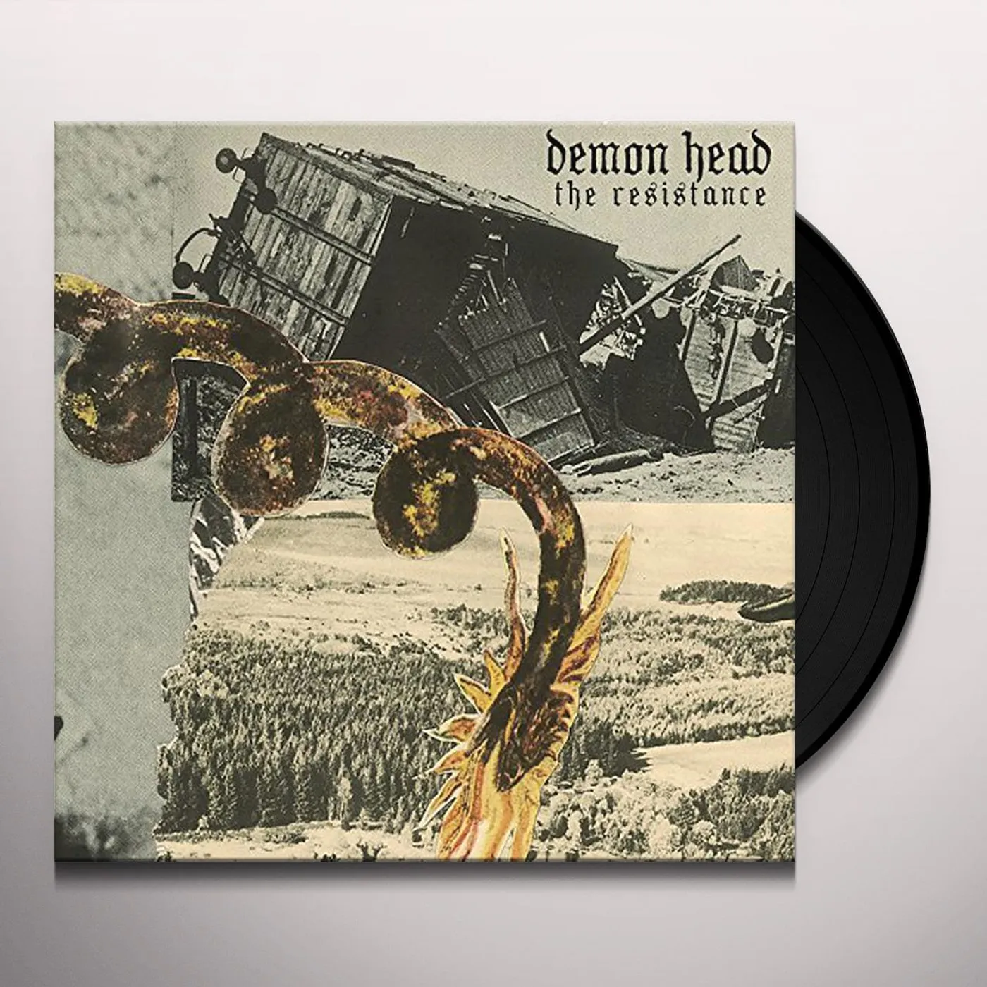 Demon Head RESISTANCE Vinyl Record