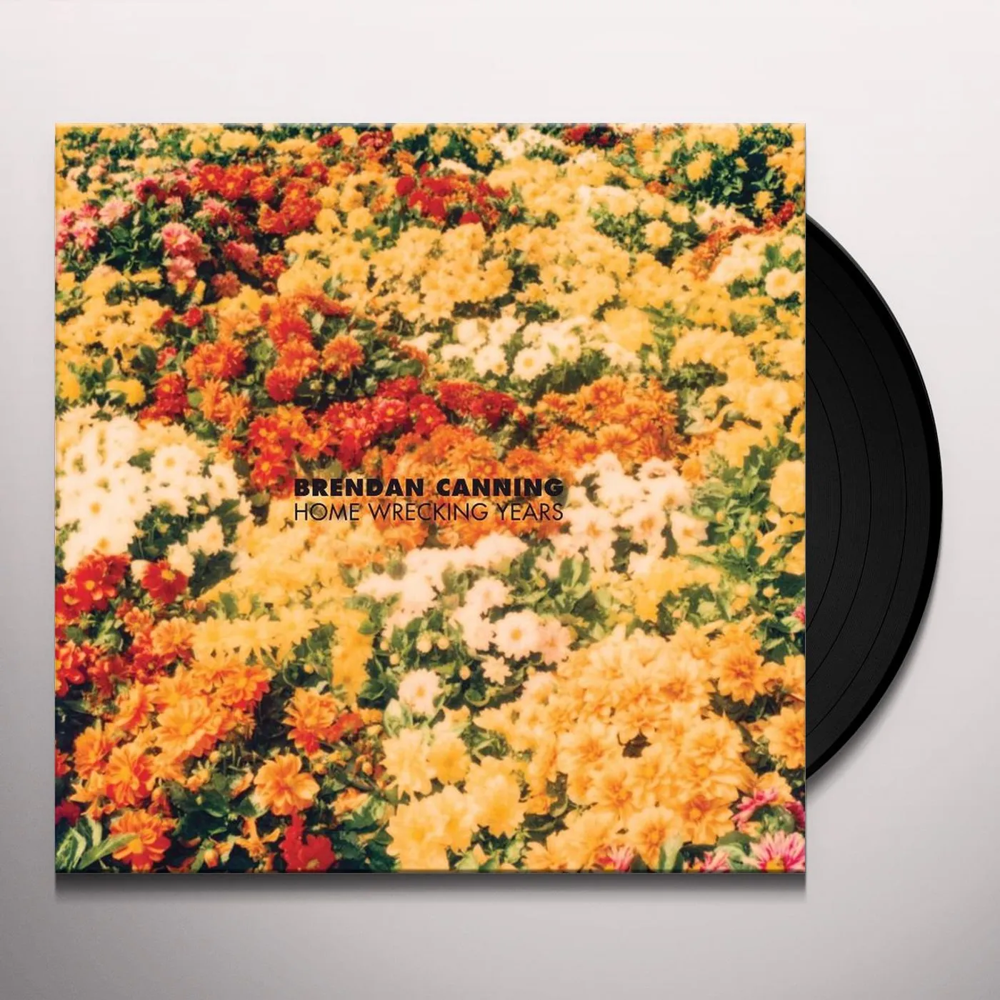 Brendan Canning Home Wrecking Years Vinyl Record