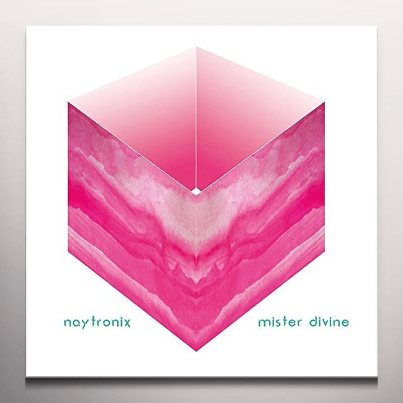 Naytronix Mister Divine Vinyl Record