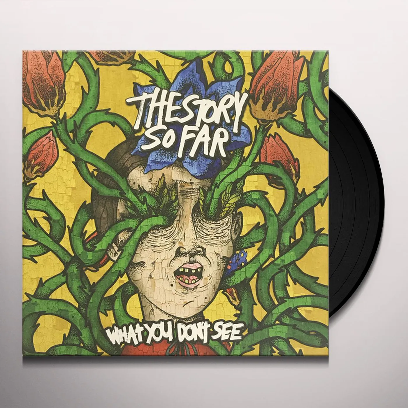 The Story So Far What You Don't See Vinyl Record