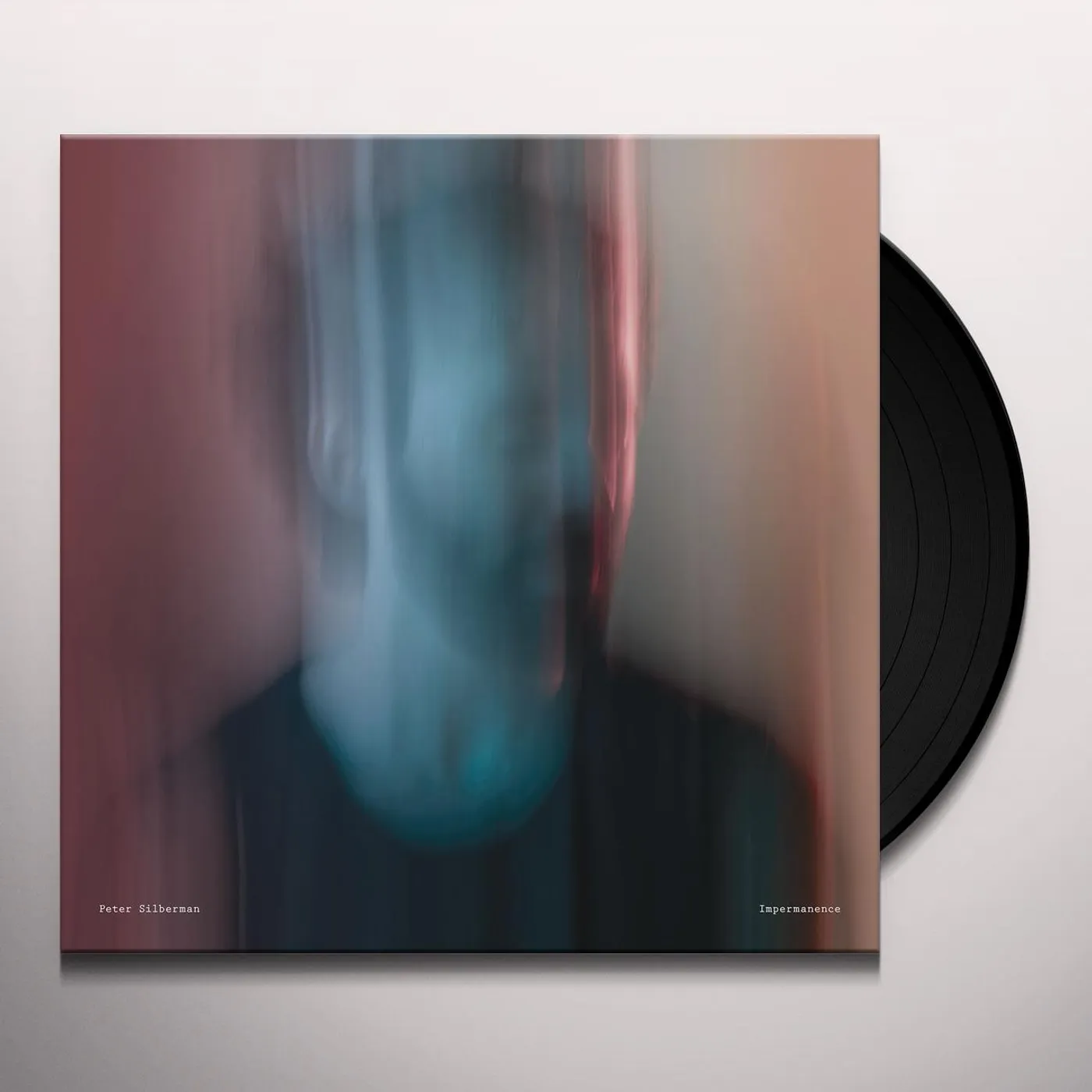 Peter Silberman Impermanence Vinyl Record