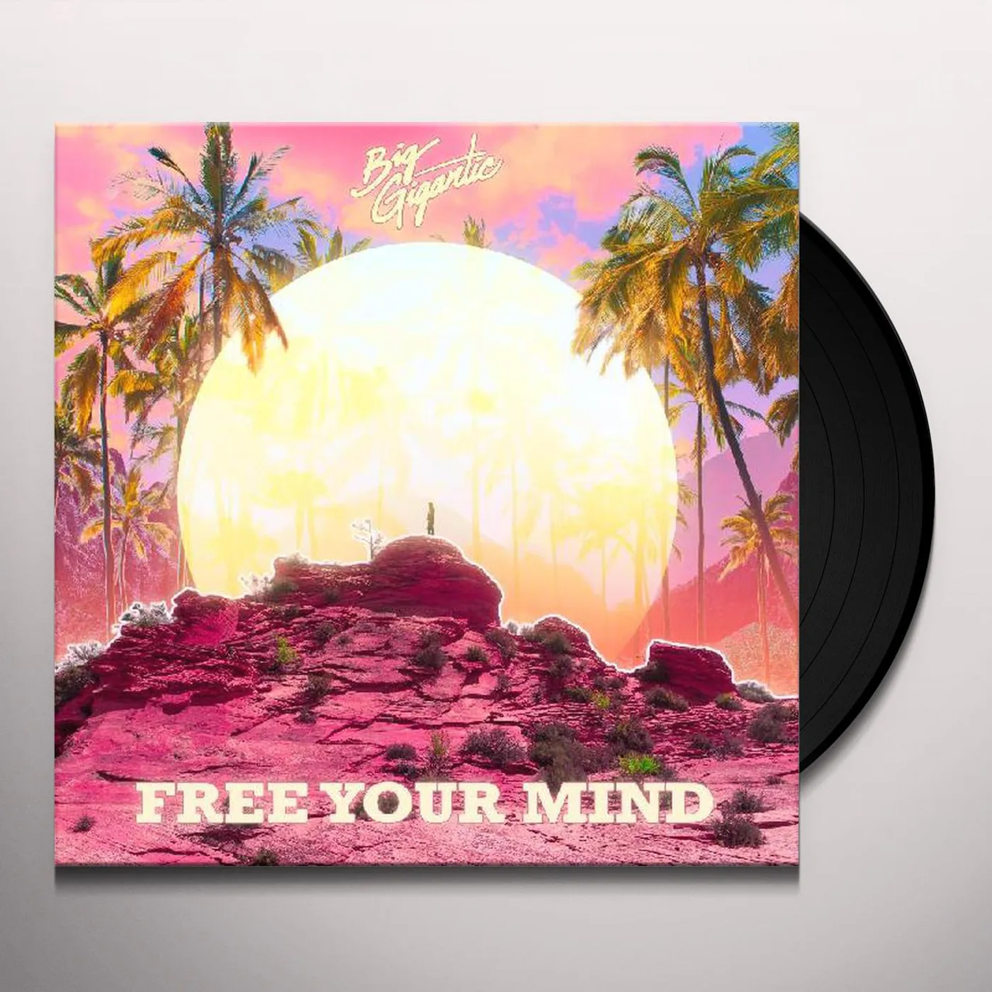 Big Gigantic Free Your Mind Vinyl Record