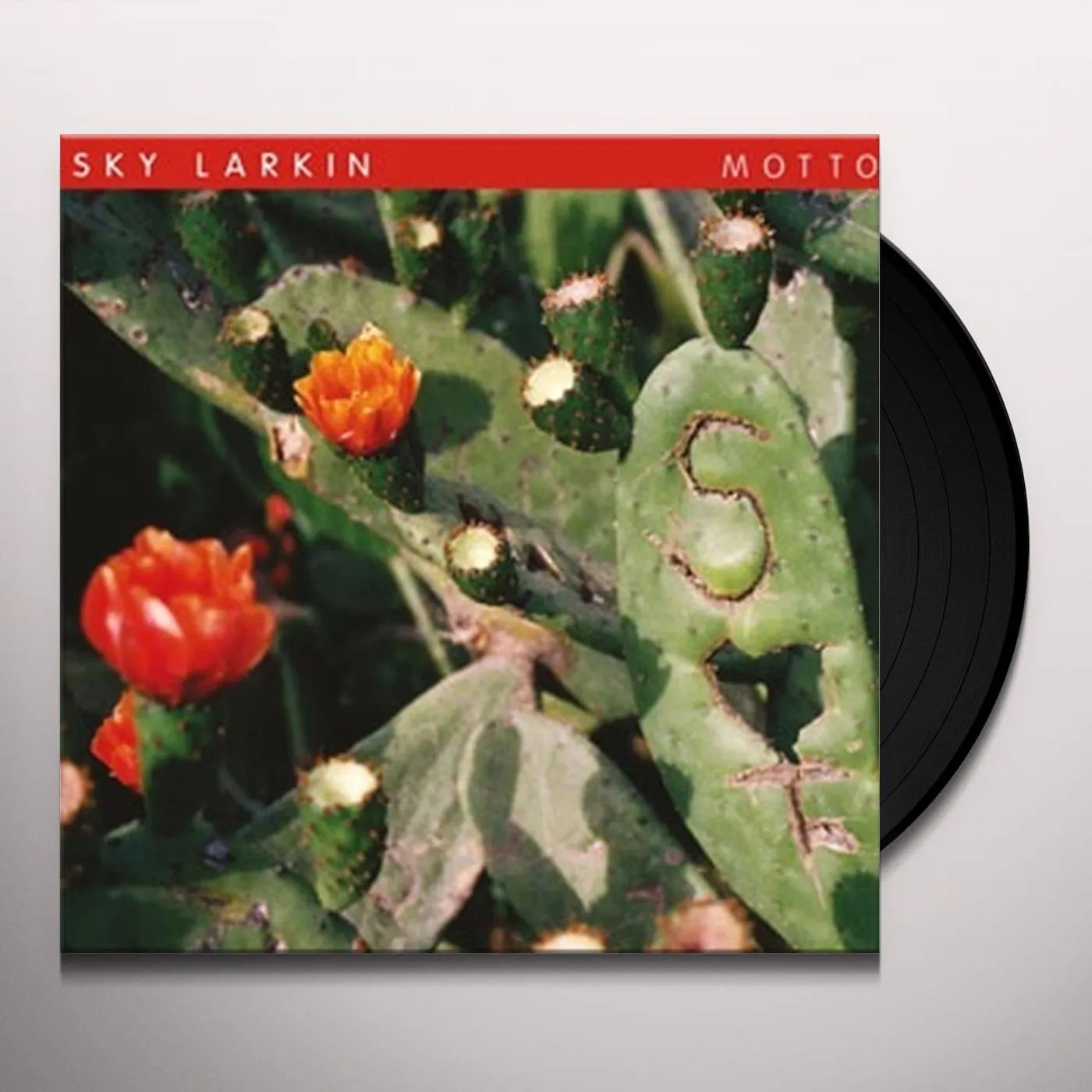 Sky Larkin Motto Vinyl Record