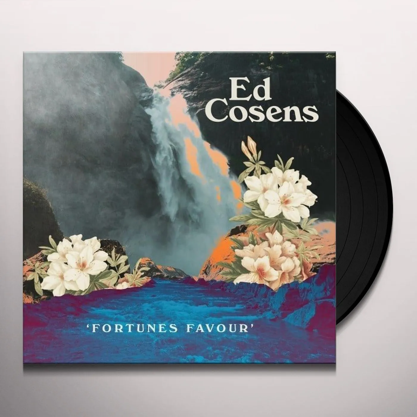 Ed Cosens Fortunes Favour Vinyl Record