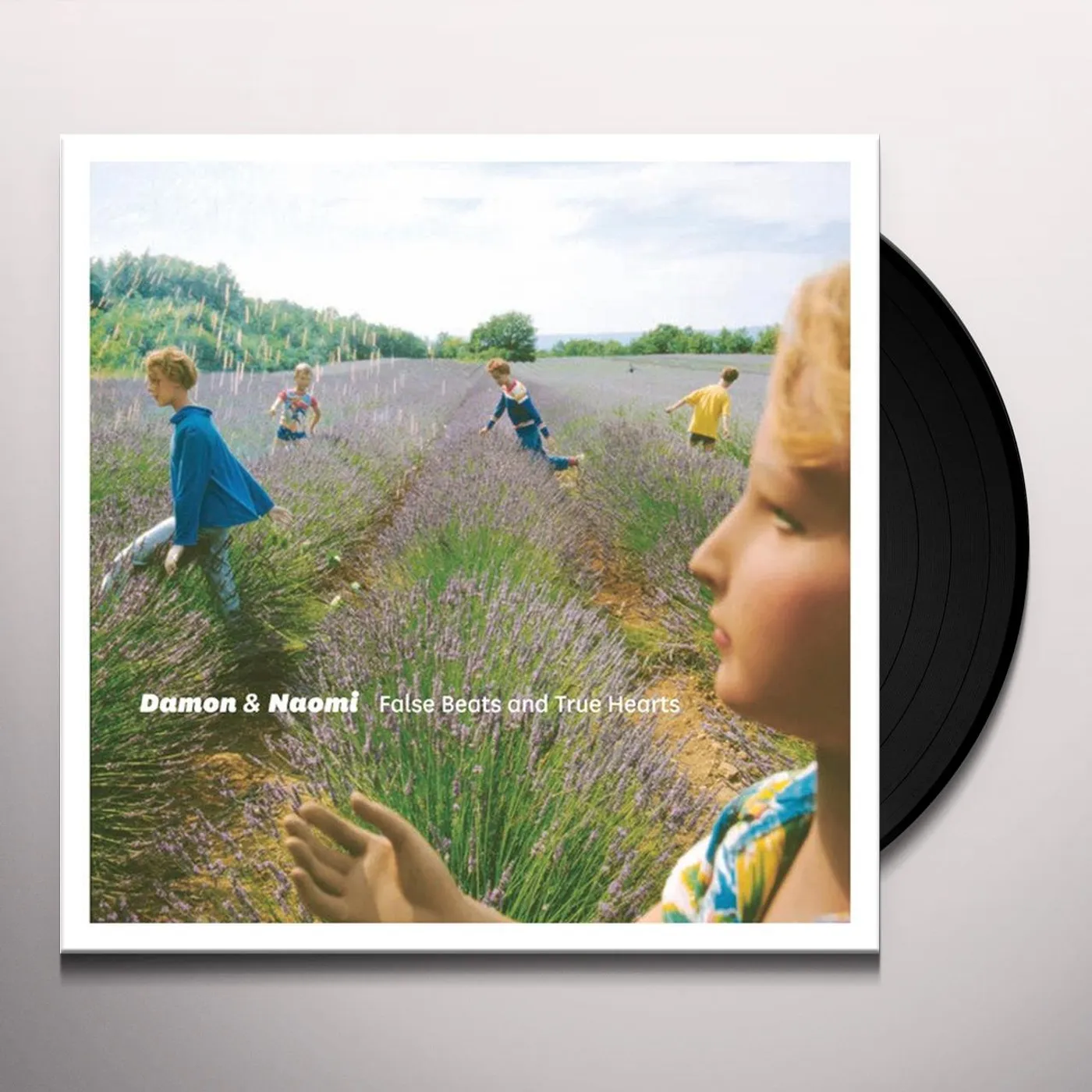 Damon & Naomi False Beats and True Hearts Vinyl Record