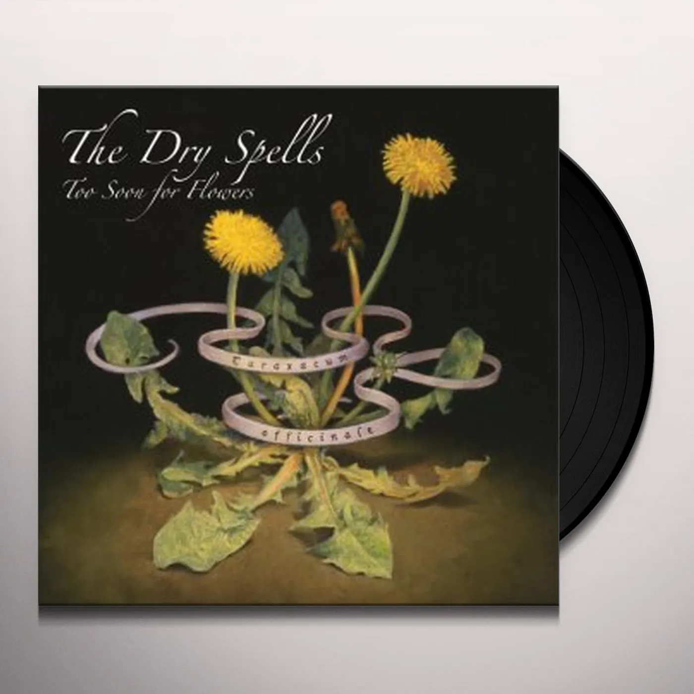 Dry Spells Too Soon For Flowers Vinyl Record