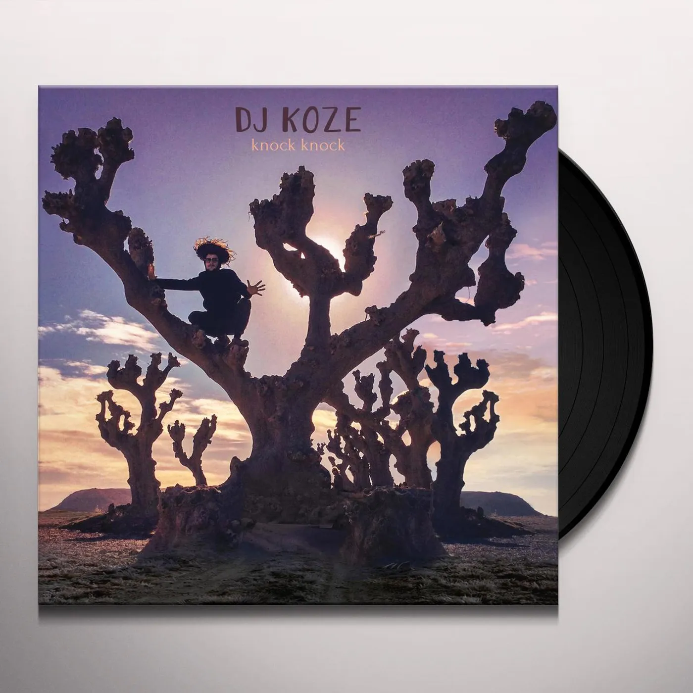 DJ Koze Knock Knock Vinyl Record