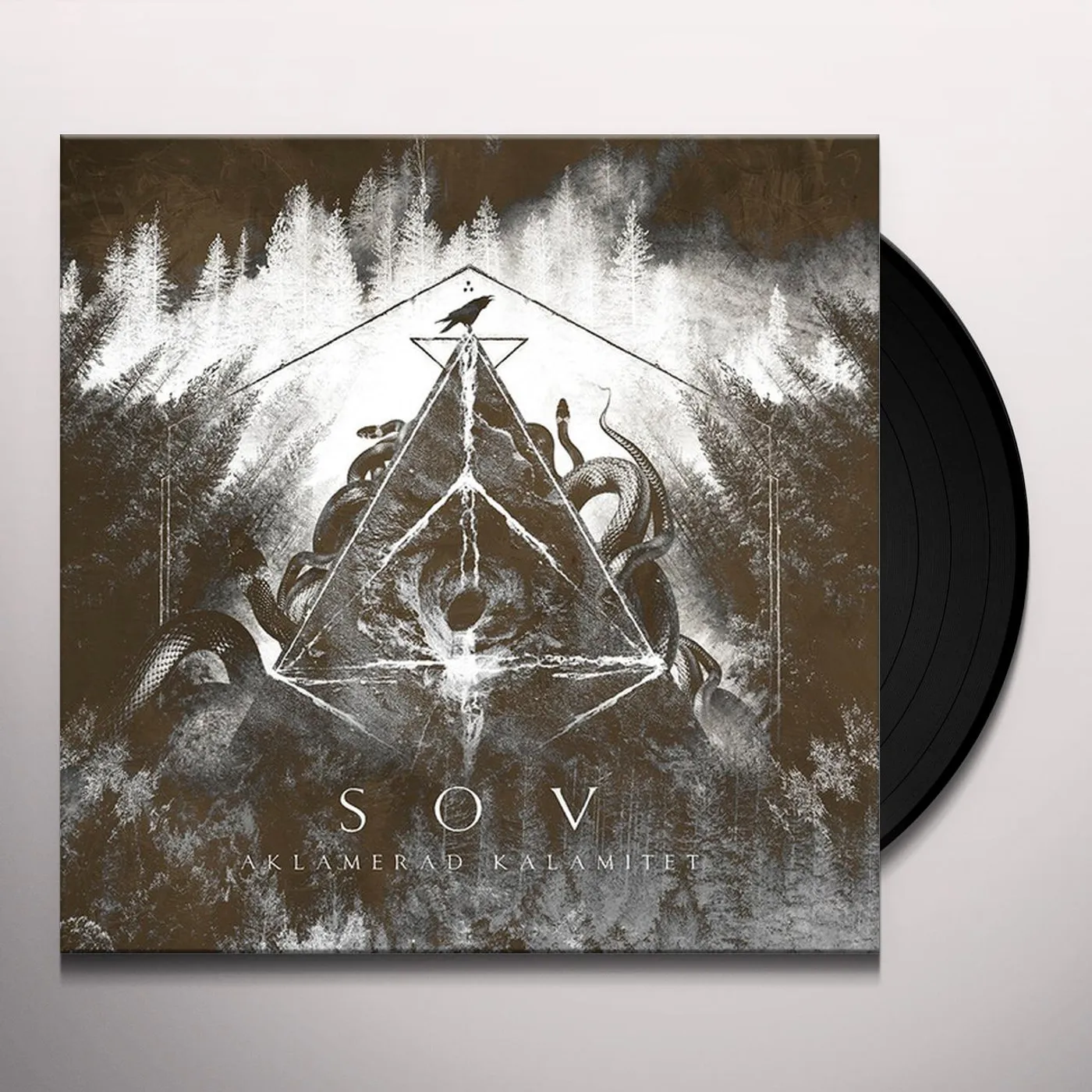 SOV AKLAMERAD KALAMITET Vinyl Record